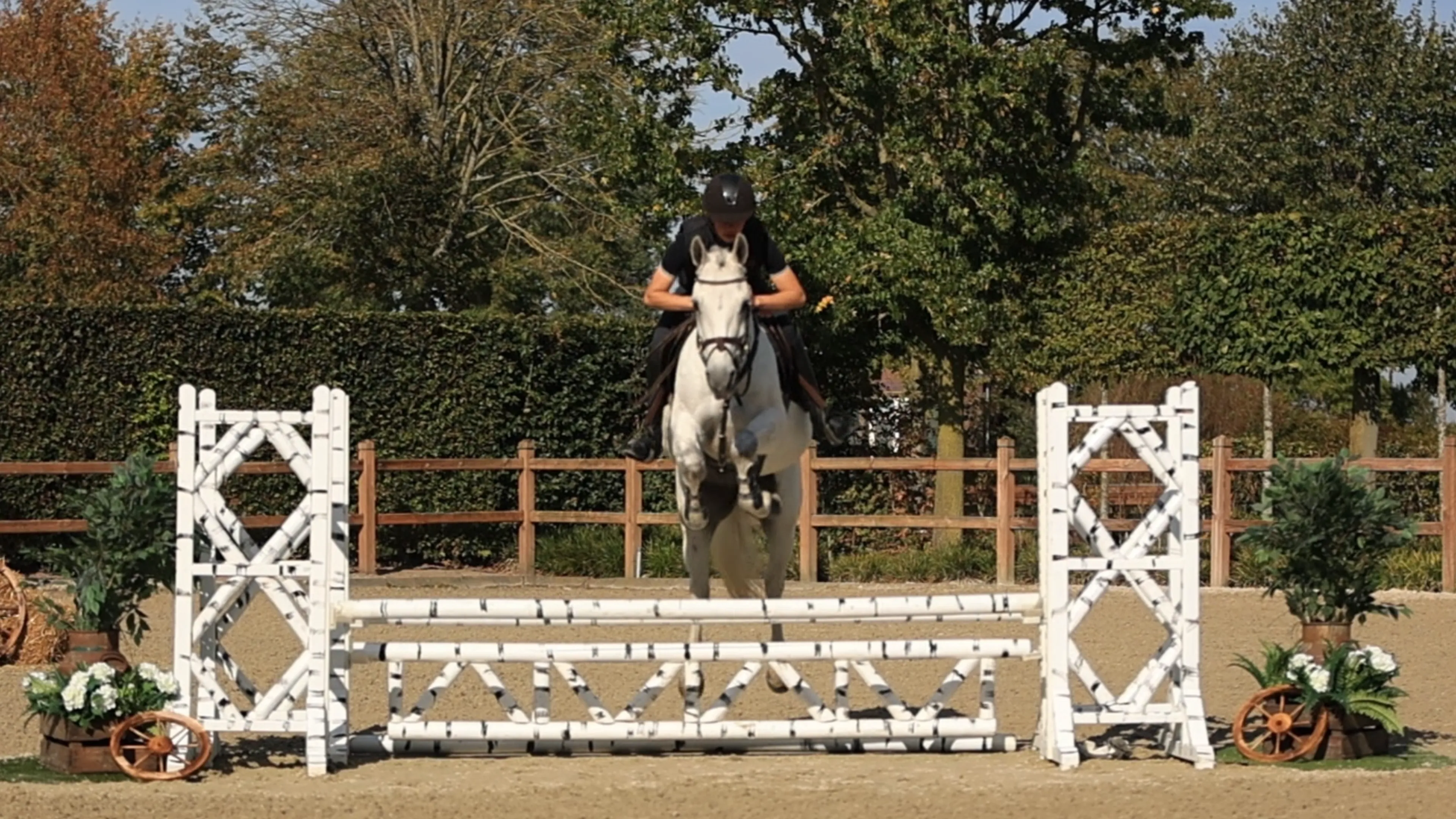 C - Lady Grace - Image 2