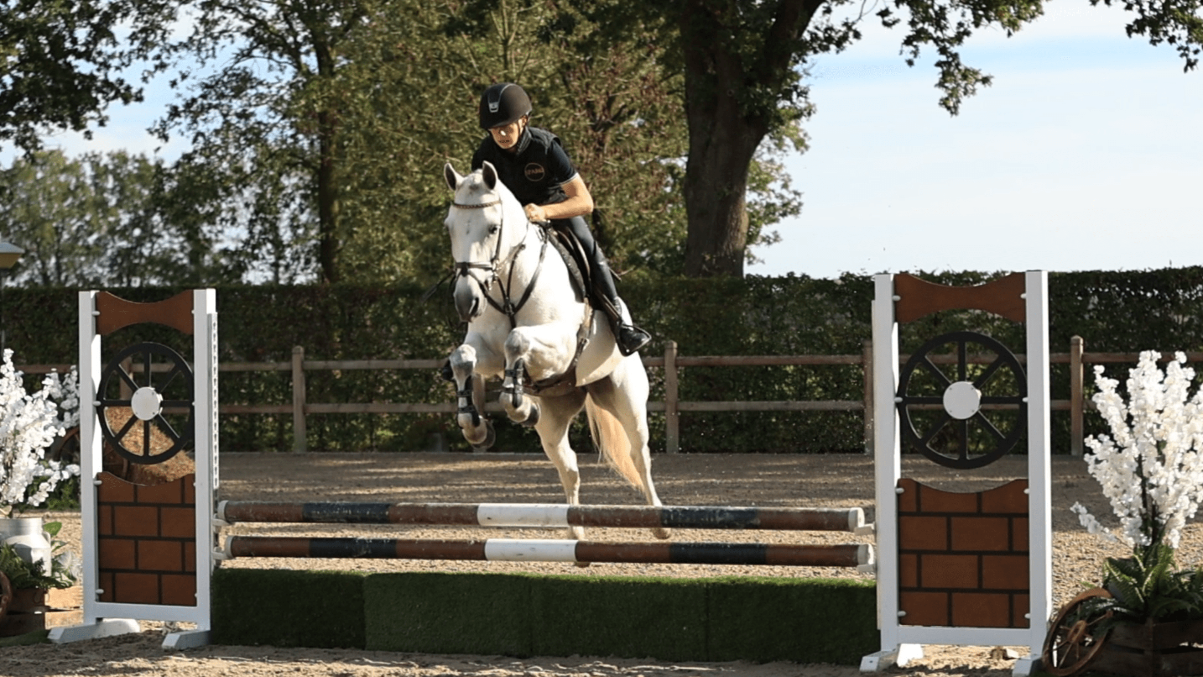 C - Lady Grace - Image 4