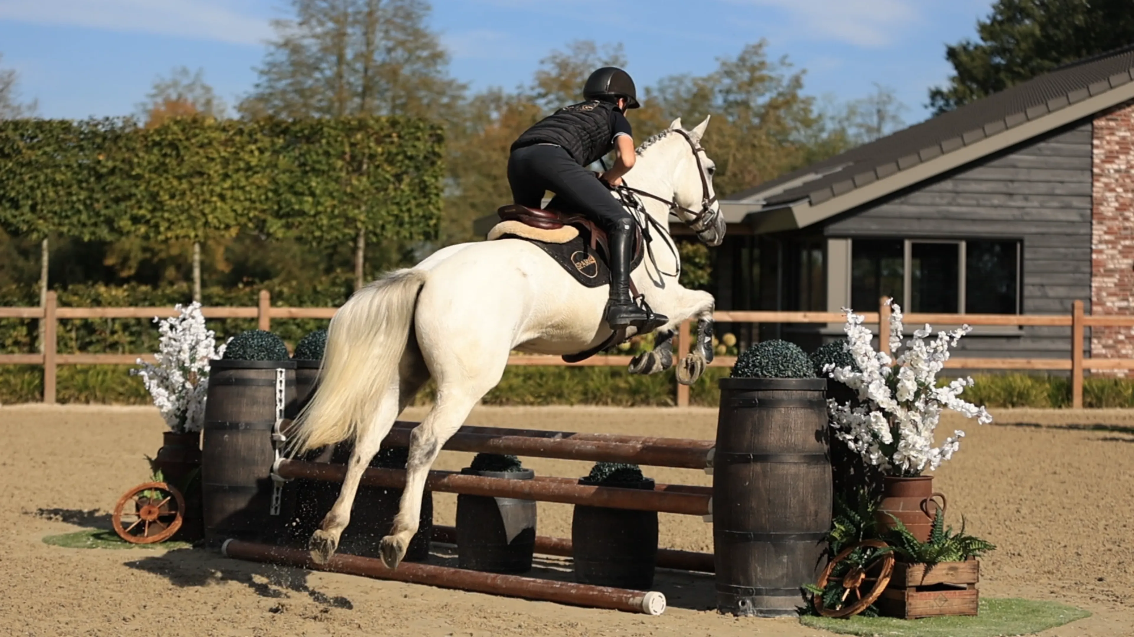 C - Lady Grace - Image 6