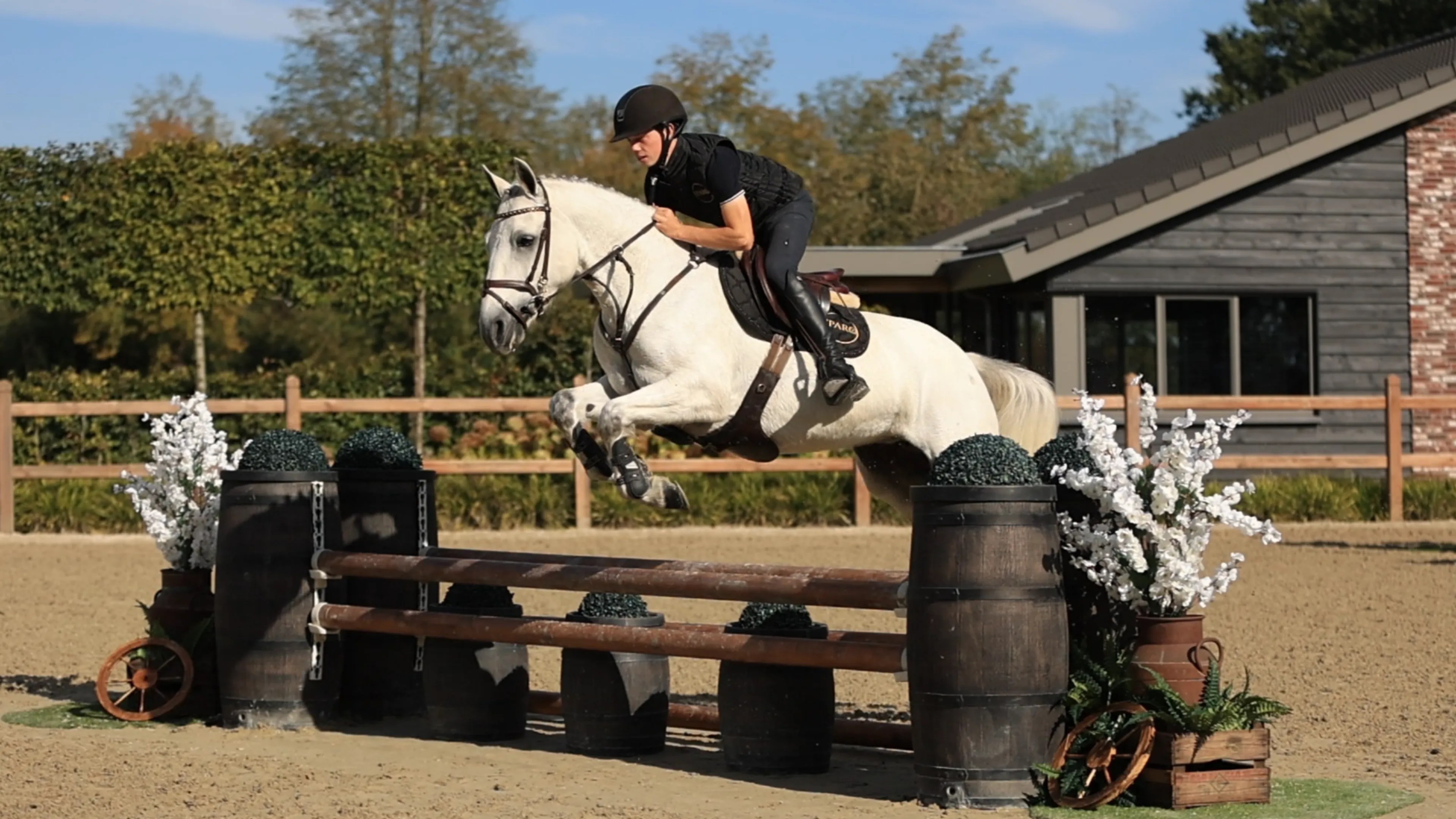 C - Lady Grace - Image 7