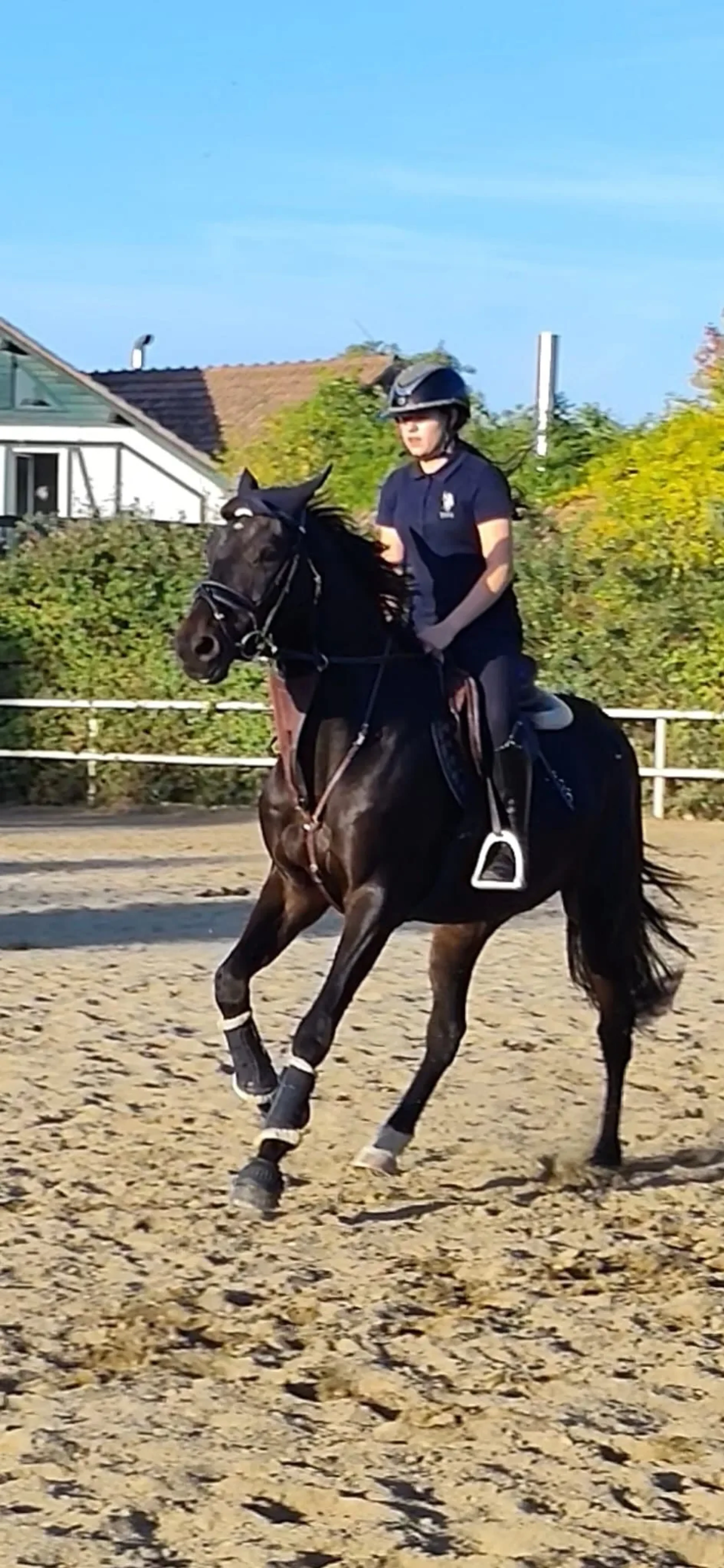 Poppe Van Het Holtrijk - Image 3