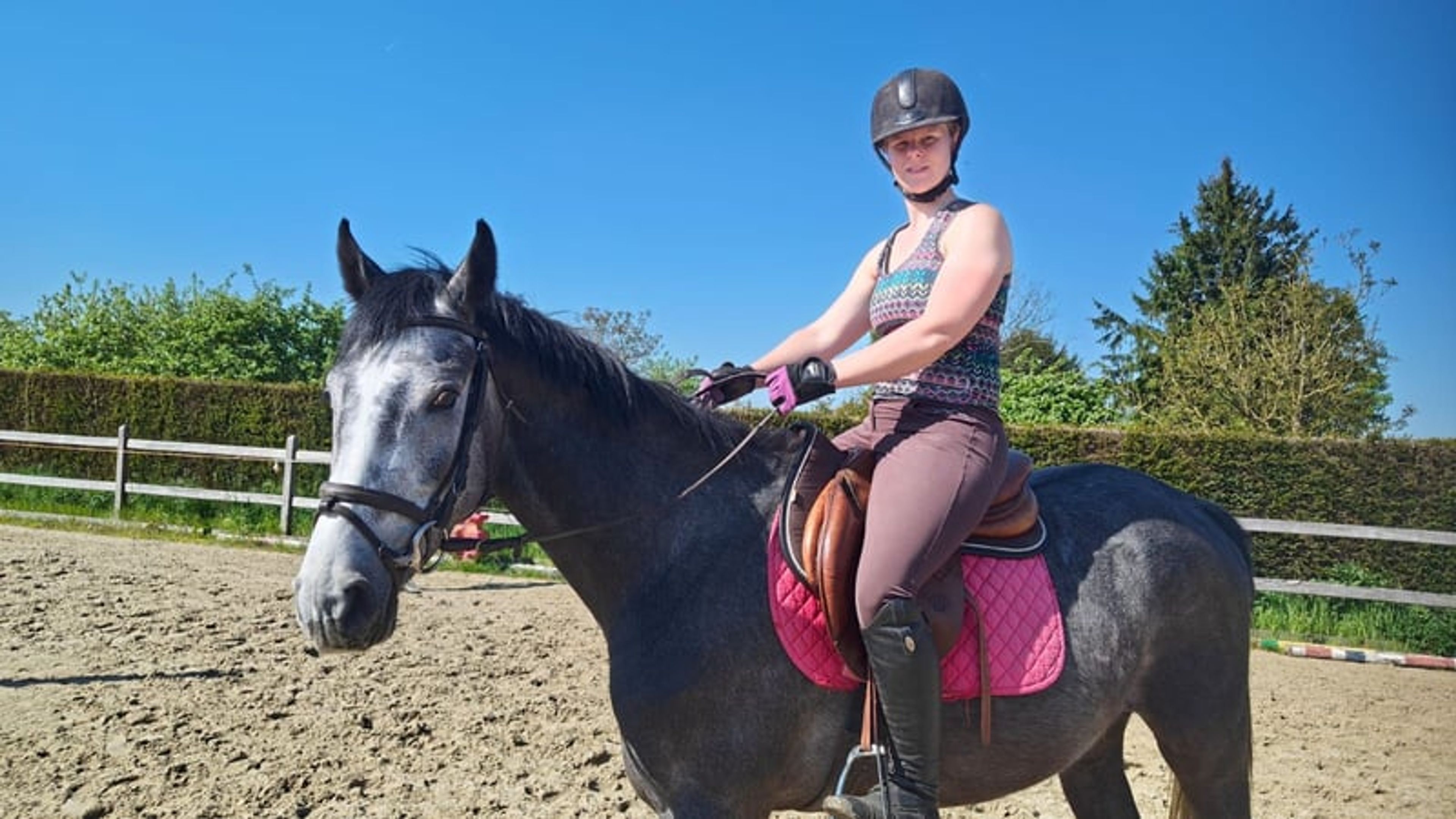 Promising 4-year-old BWP colt – potential for the future - Image 4