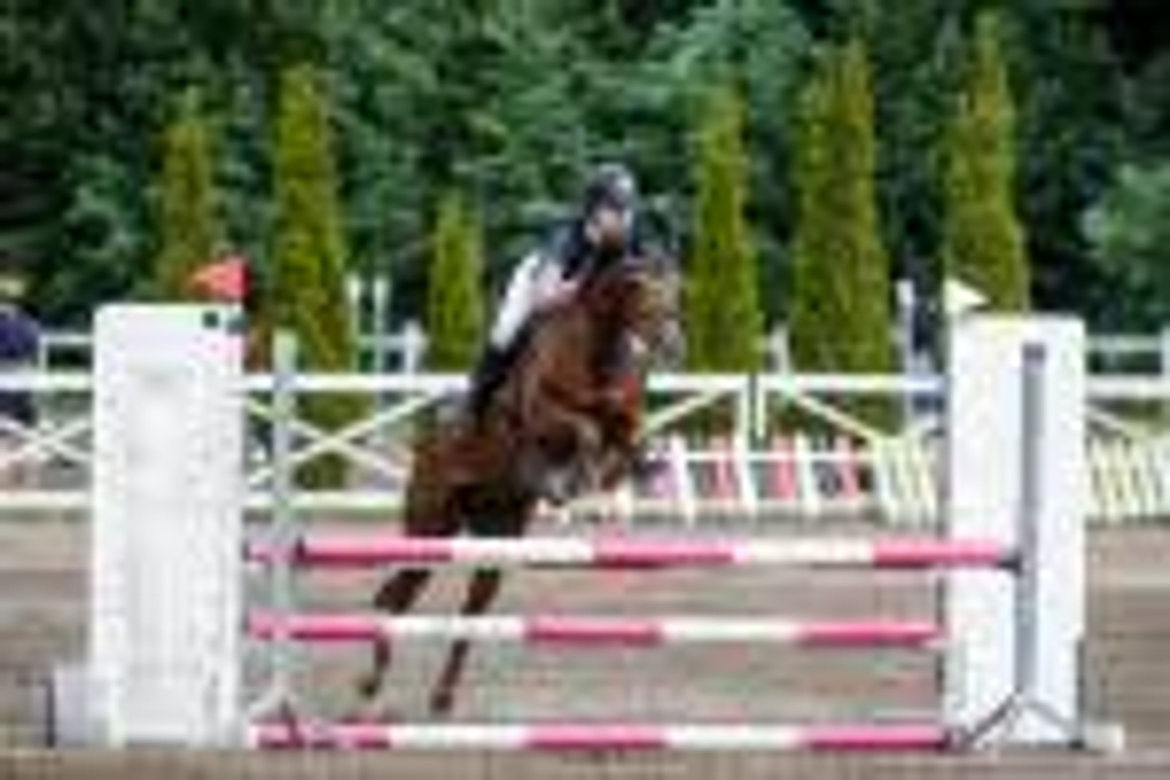 Chica ter Elzen (KONQUISTADOR VAN ORCHID'S x KANTJE'S FAHRAN) - Image 10