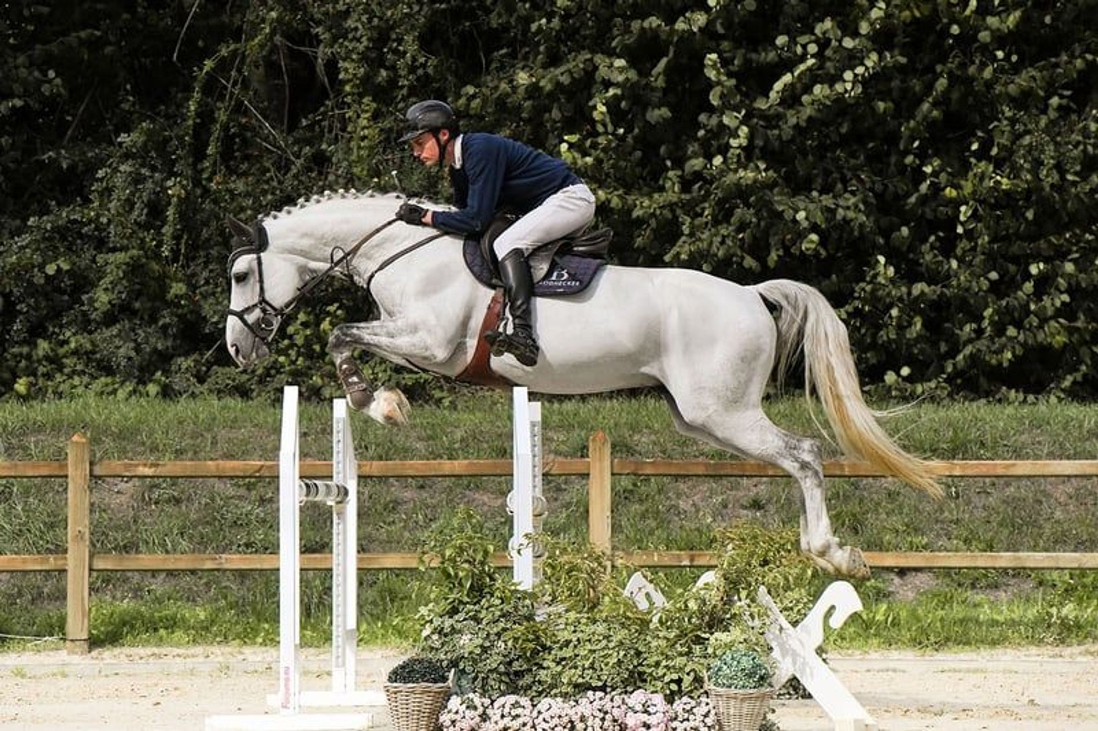 Licensed son of Cornet Obolensky