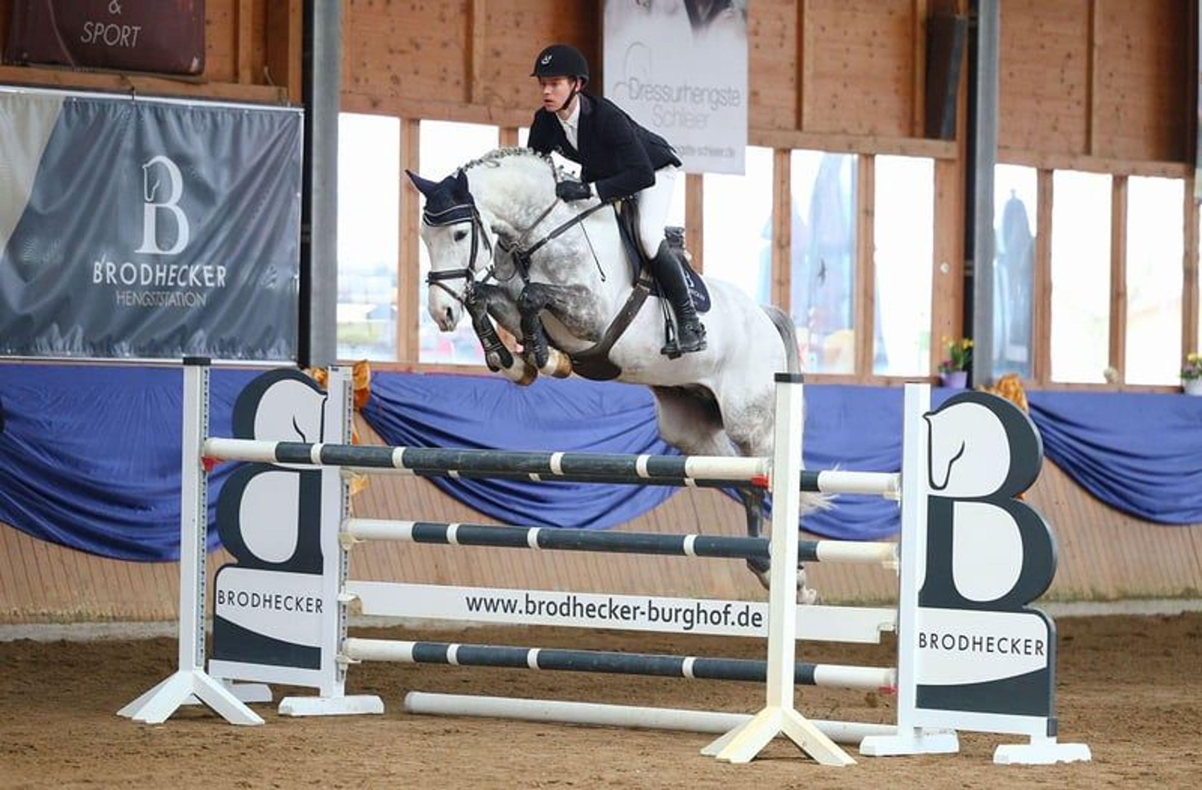 Licensed son of Cornet Obolensky - Image 2