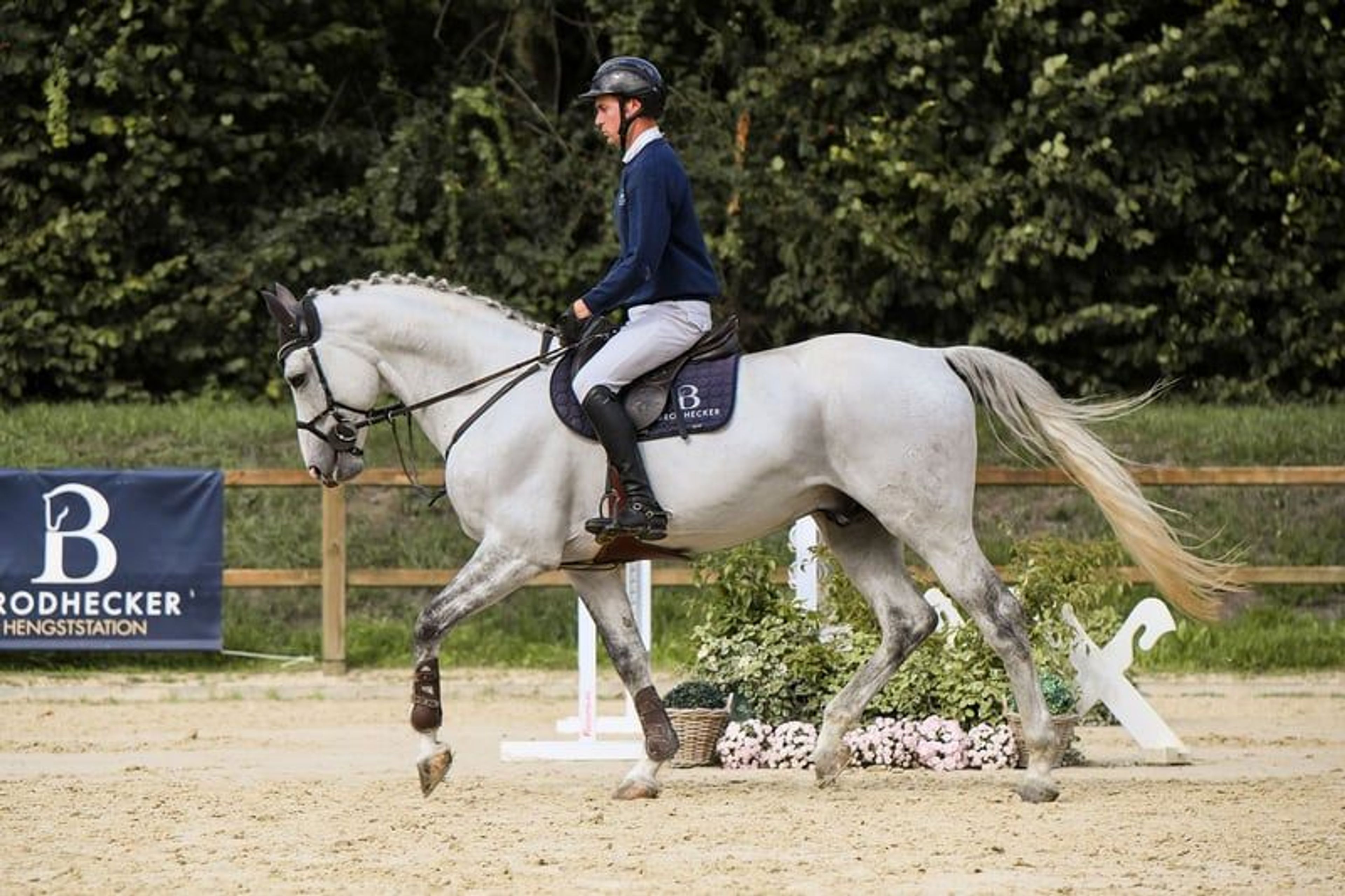 Licensed son of Cornet Obolensky - Image 3