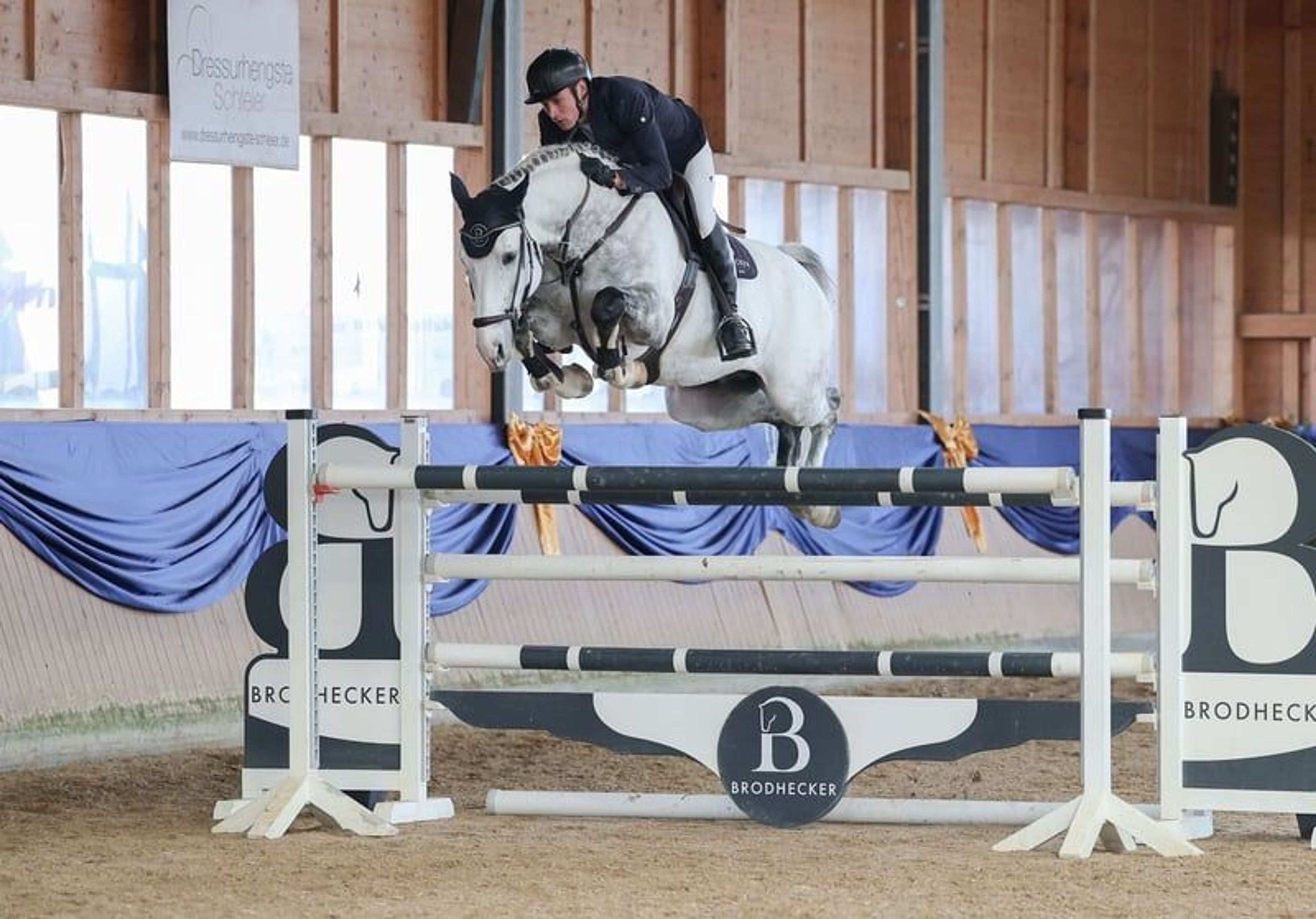 Licensed son of Cornet Obolensky - Image 6