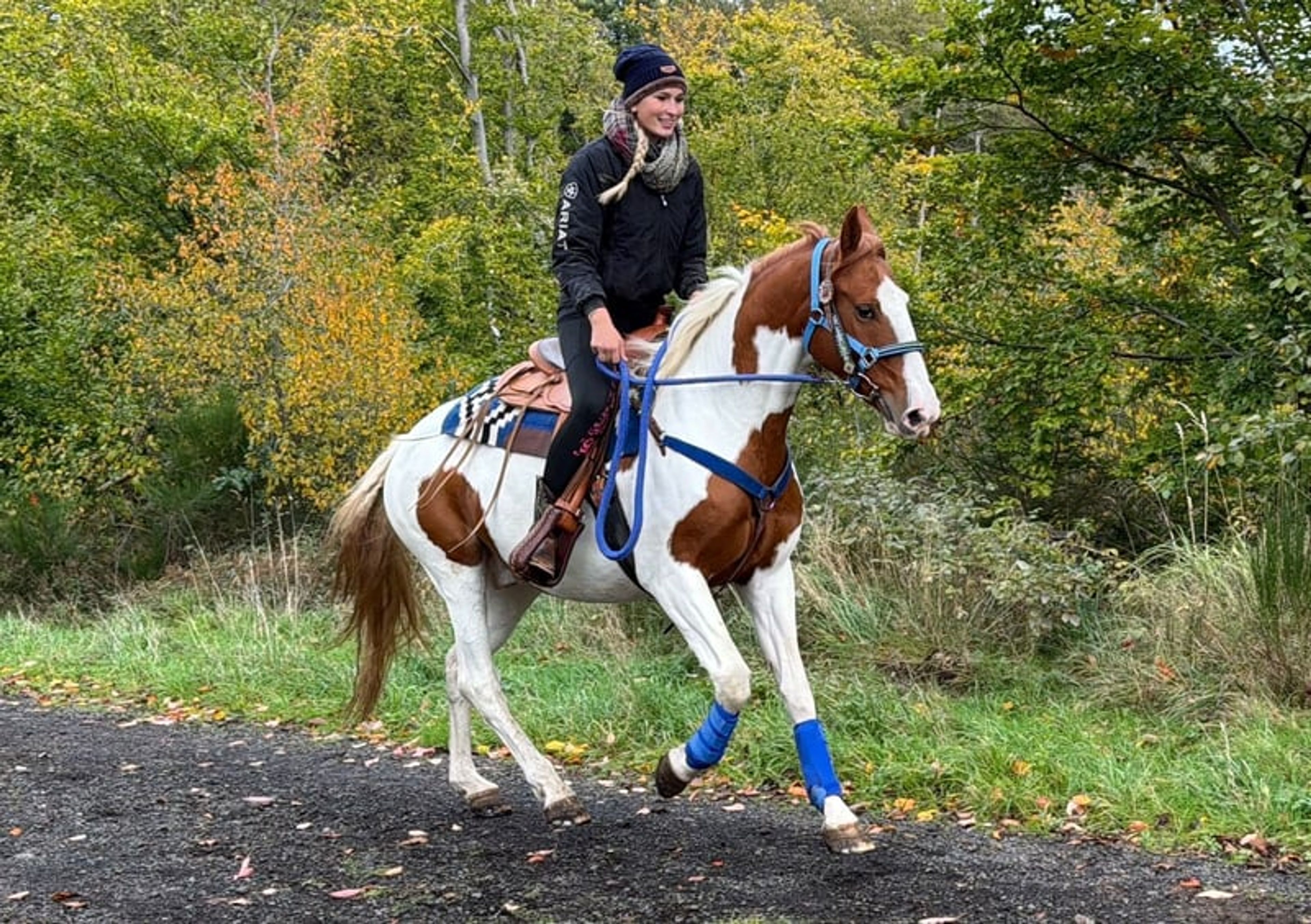 All-round leisure, trail riding & riding school