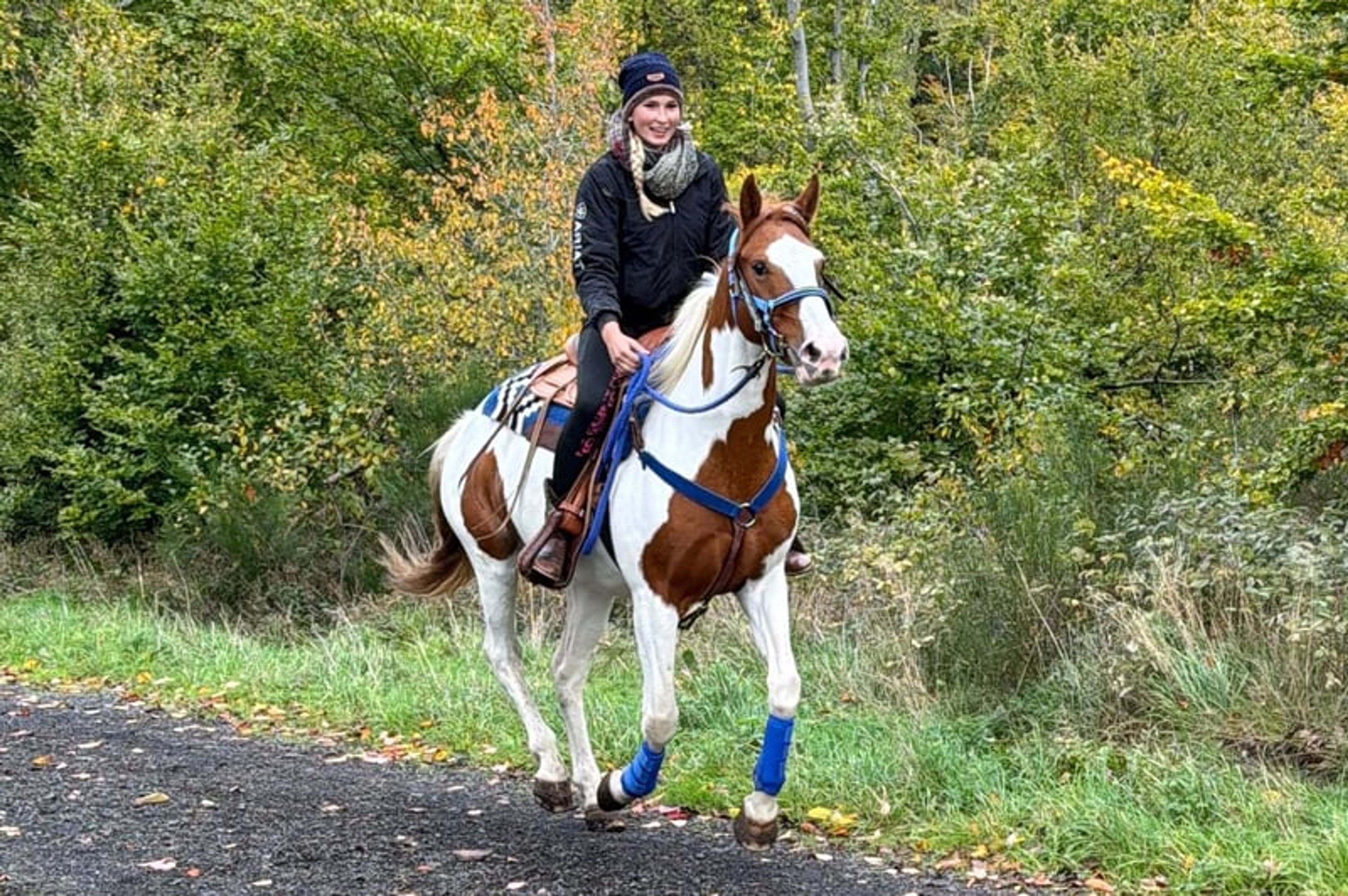 All-round leisure, trail riding & riding school - Image 2