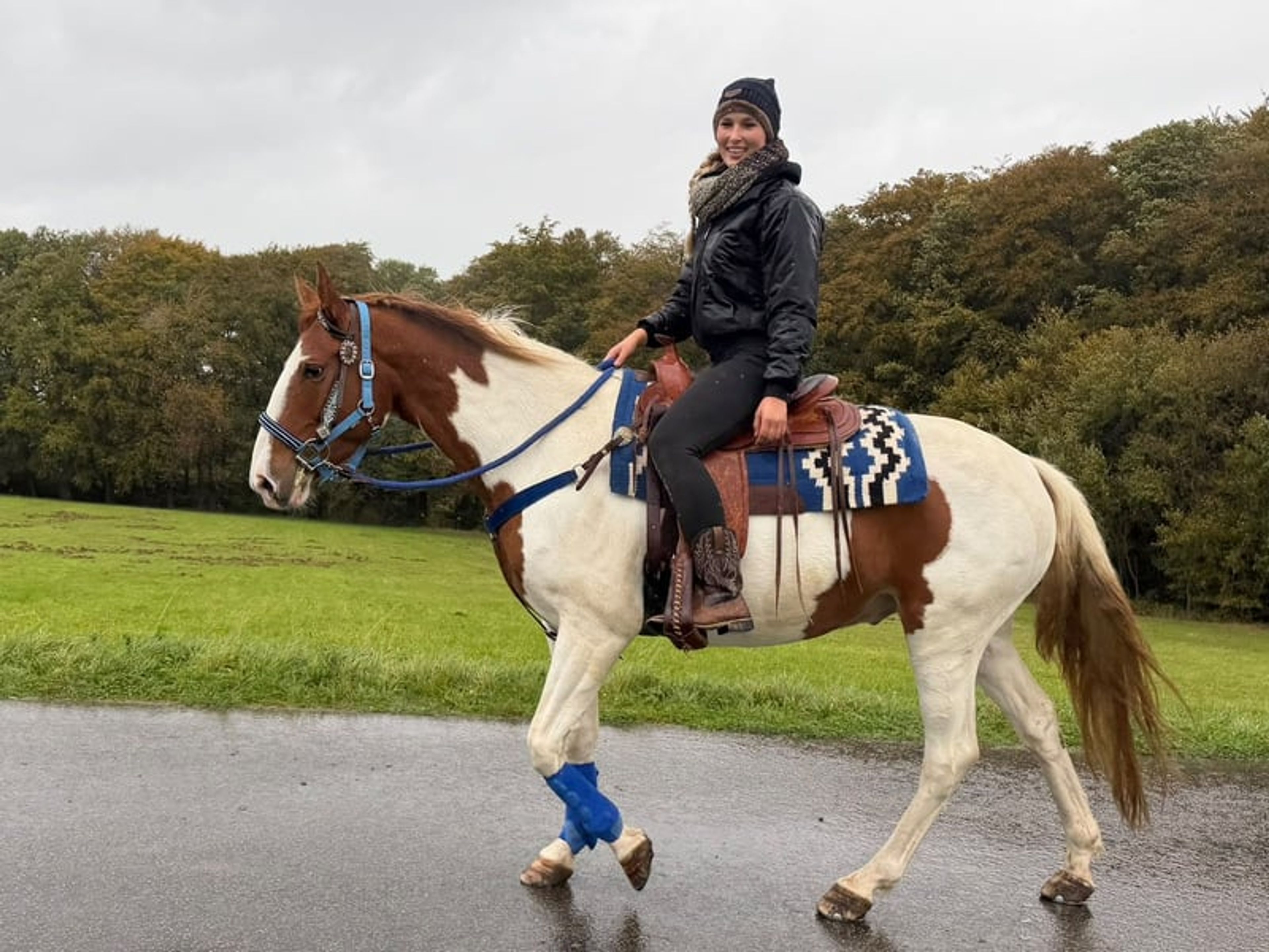 All-round leisure, trail riding & riding school - Image 3