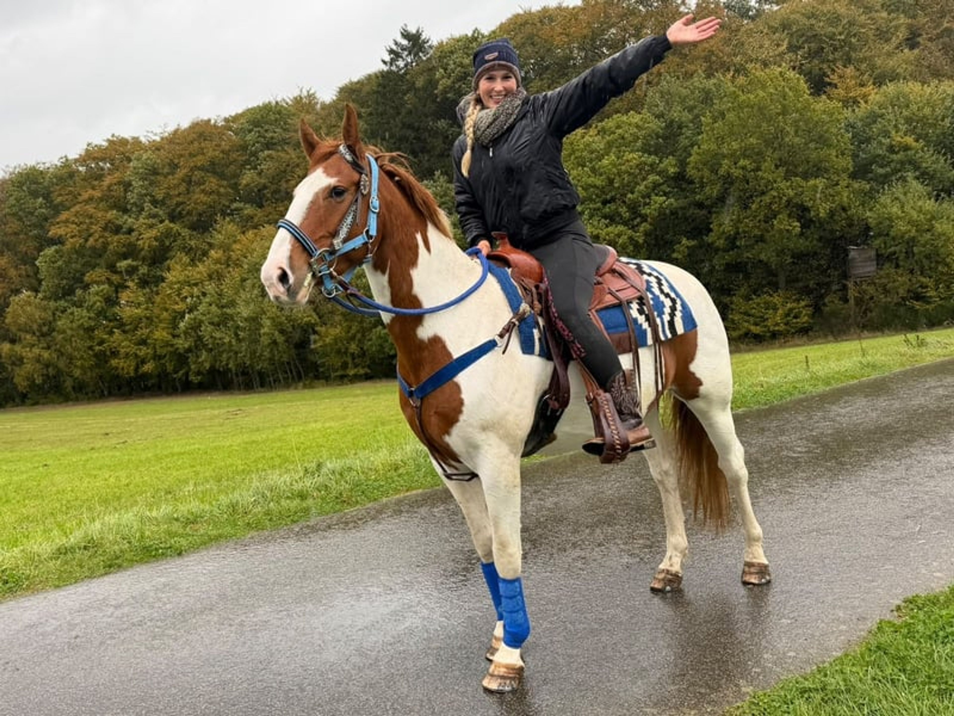 All-round leisure, trail riding & riding school - Image 5