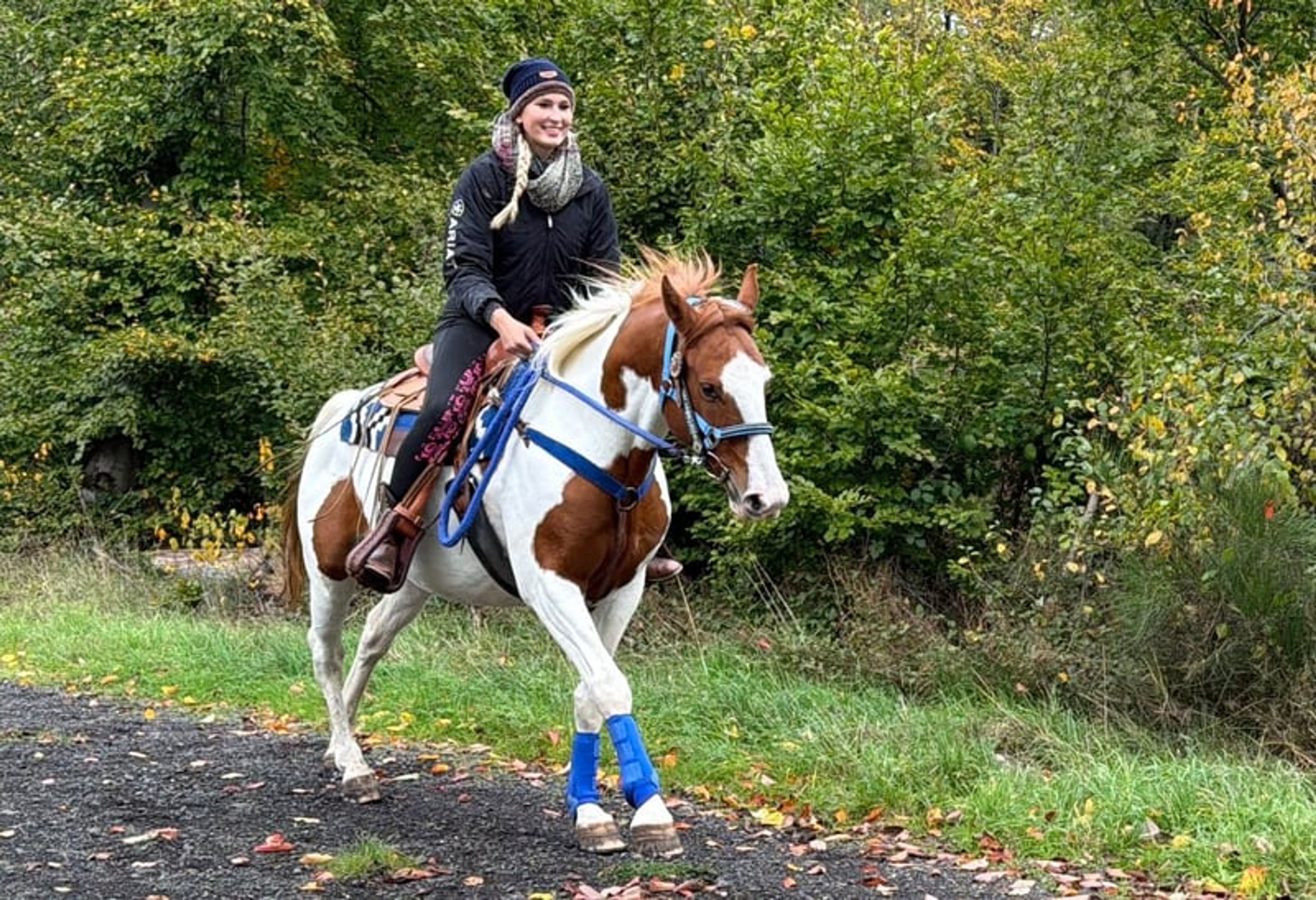 All-round leisure, trail riding & riding school - Image 6