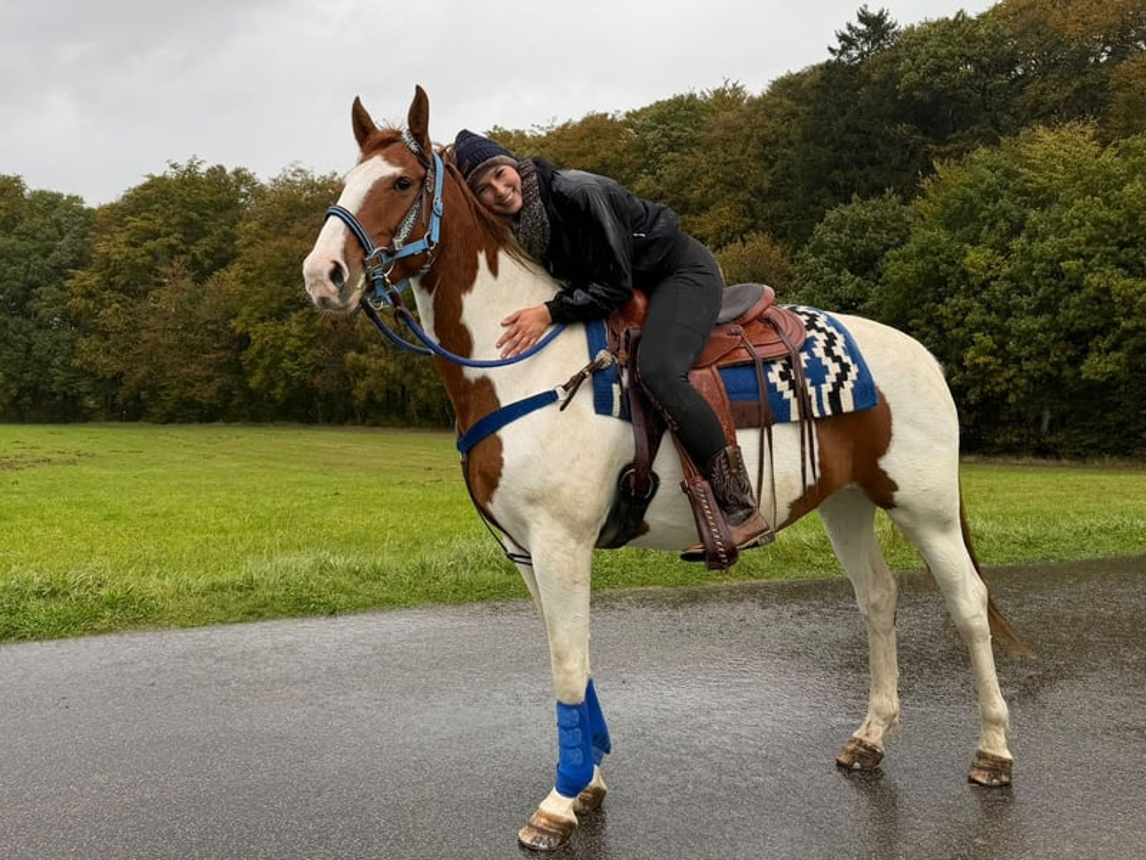 All-round leisure, trail riding & riding school - Image 7