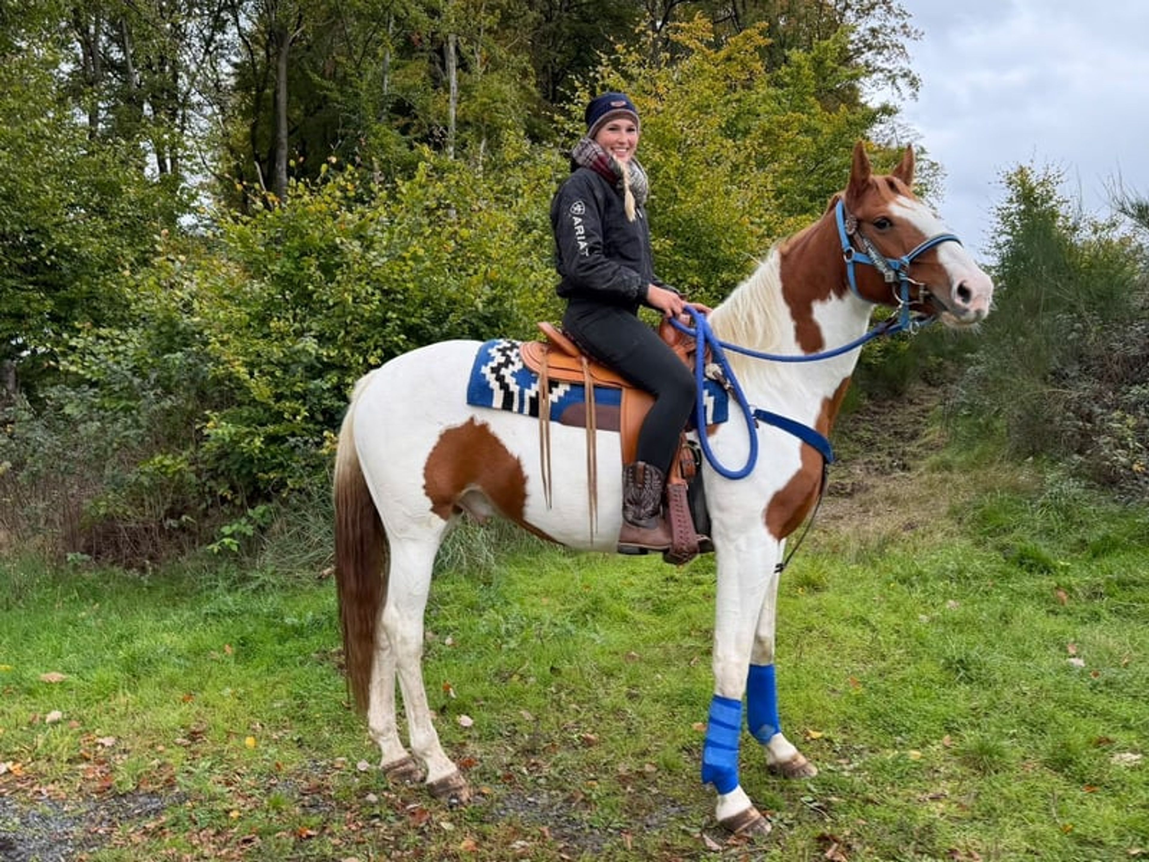All-round leisure, trail riding & riding school - Image 8