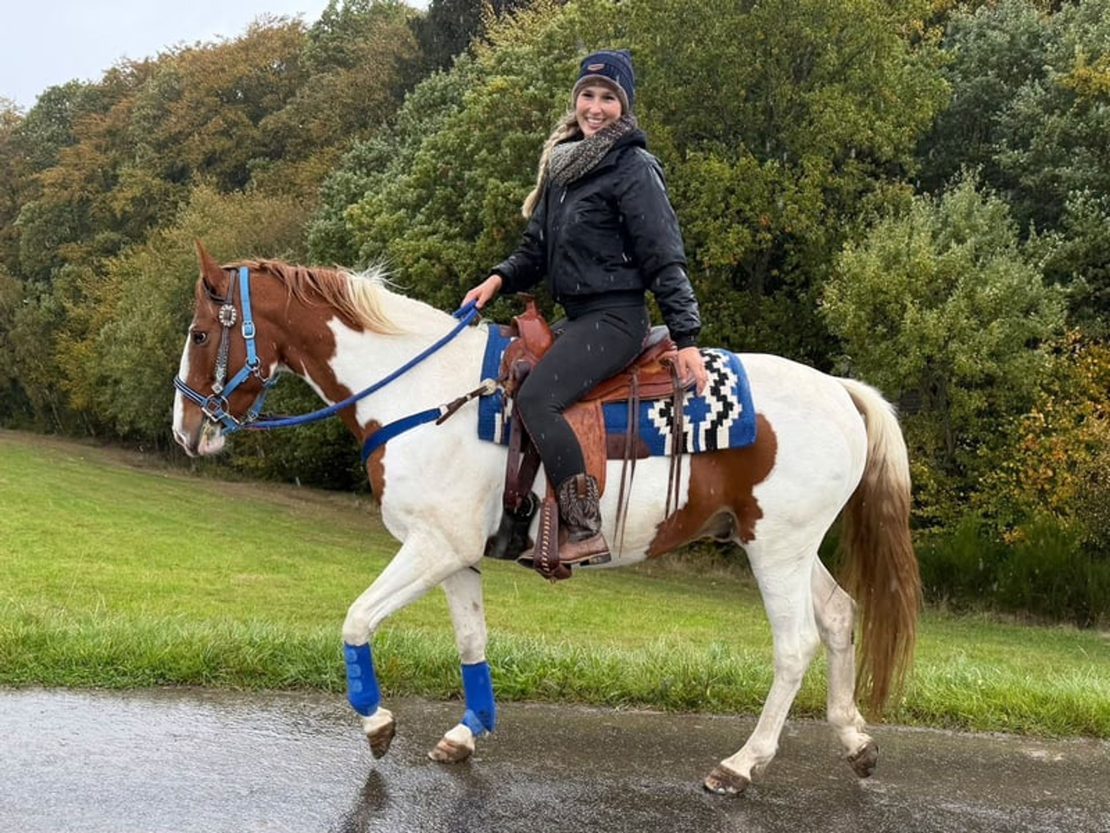 All-round leisure, trail riding & riding school - Image 9