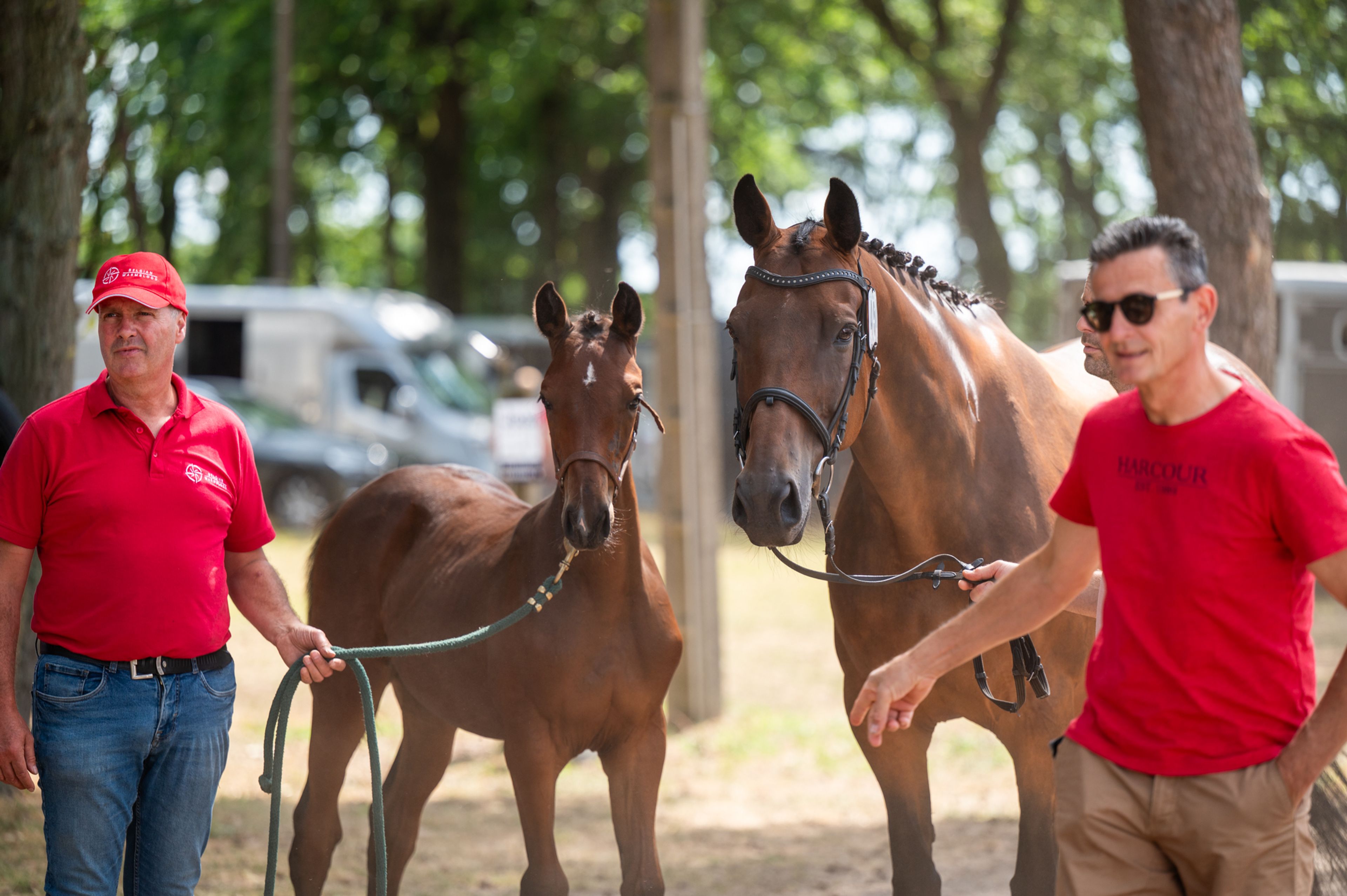 Dorute Dolce Vite (BLOOMBERG x APACHE) - Image 2