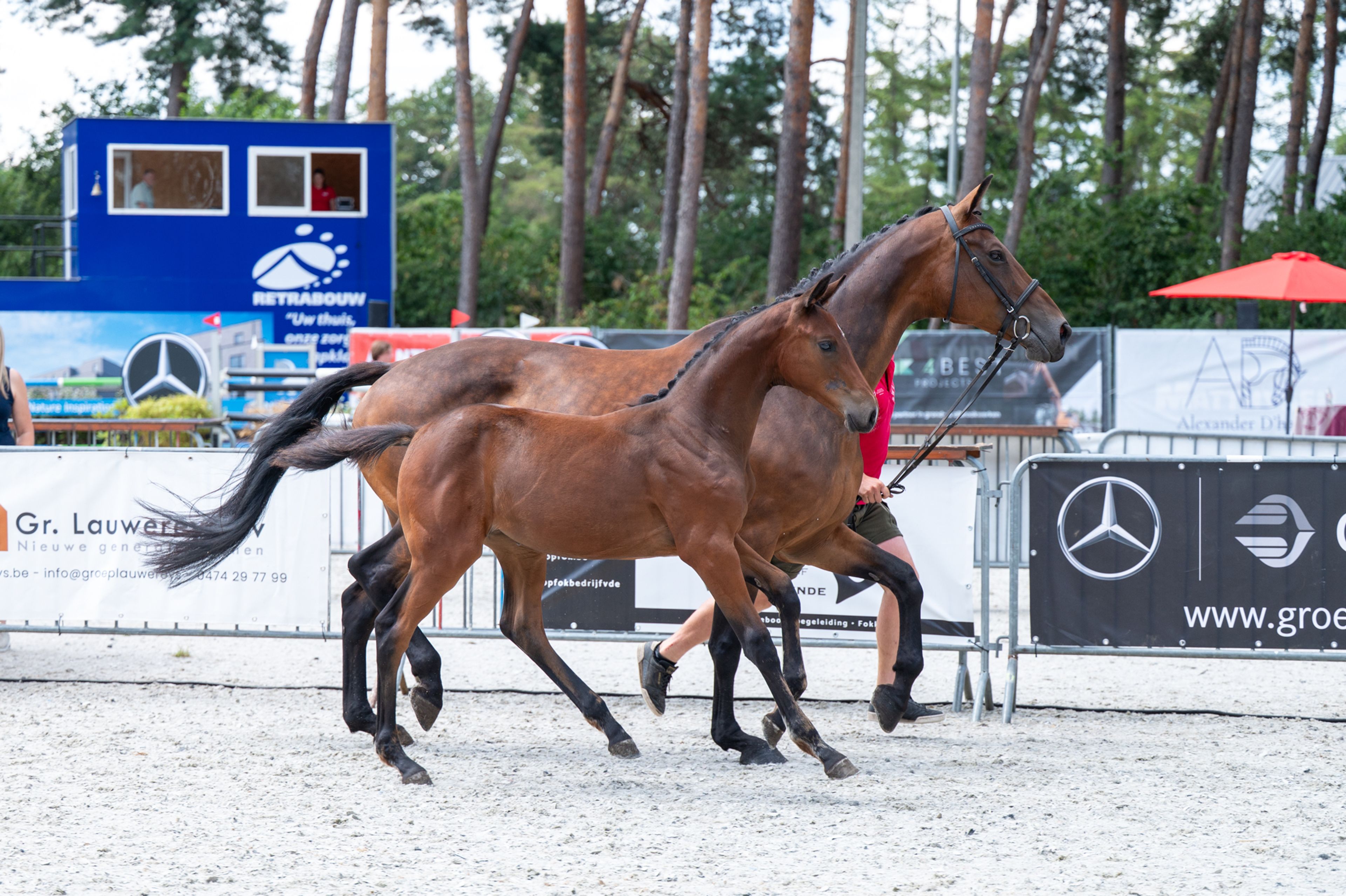 Dorute Dolce Vite (BLOOMBERG x APACHE) - Image 13