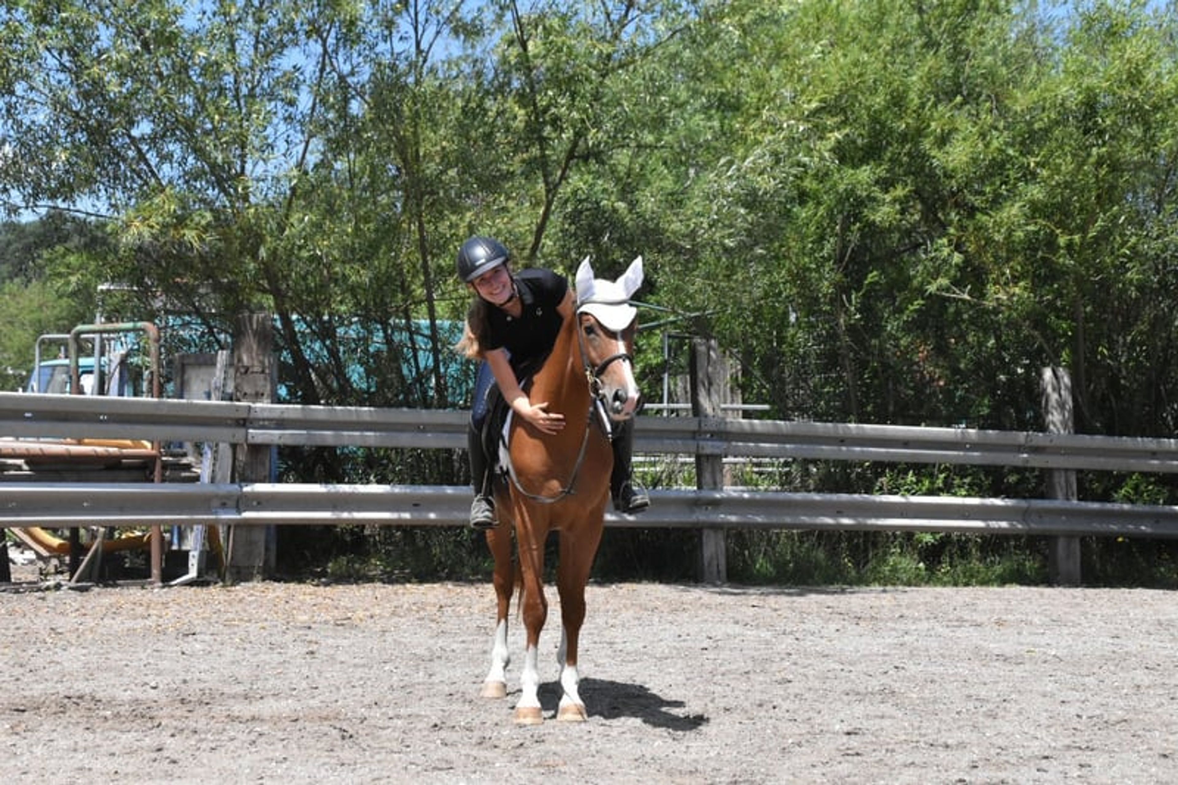 Leisure and sport horse, Gidran gelding - Image 7