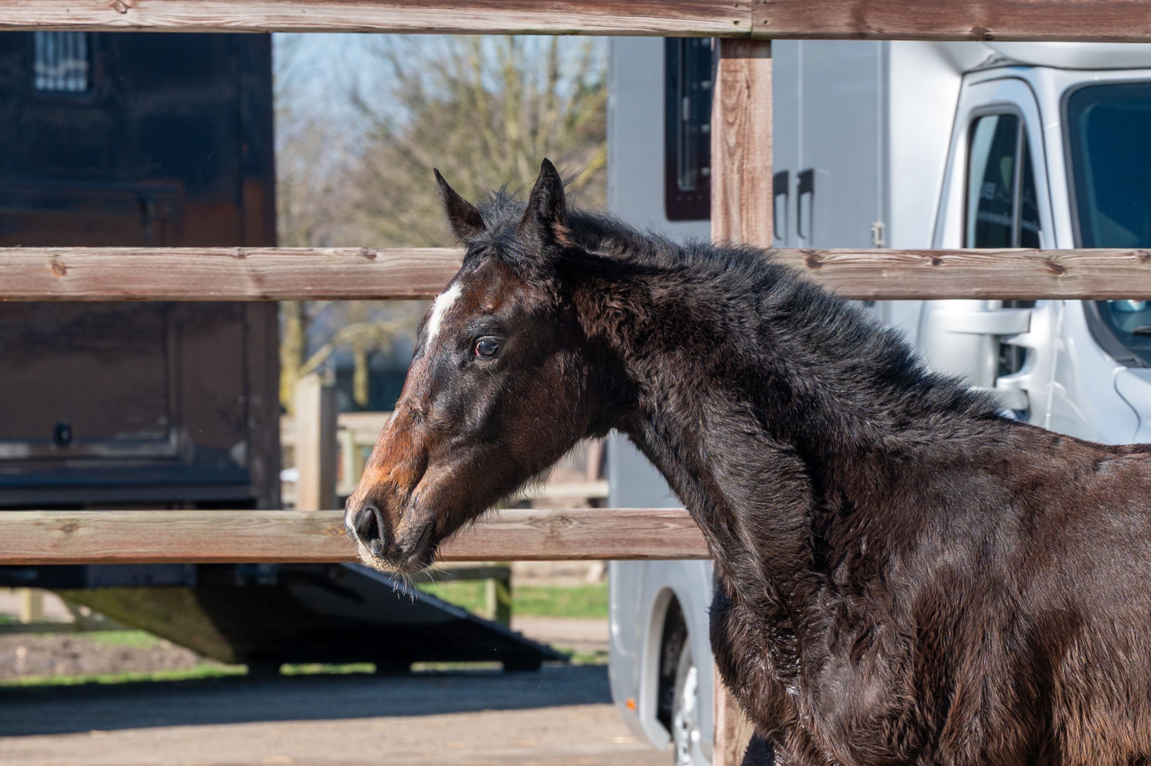 Chridas de L'esperance (DIDAS DE L'ESPERANCE x QUINT VH MAARLO Z) - Image 2