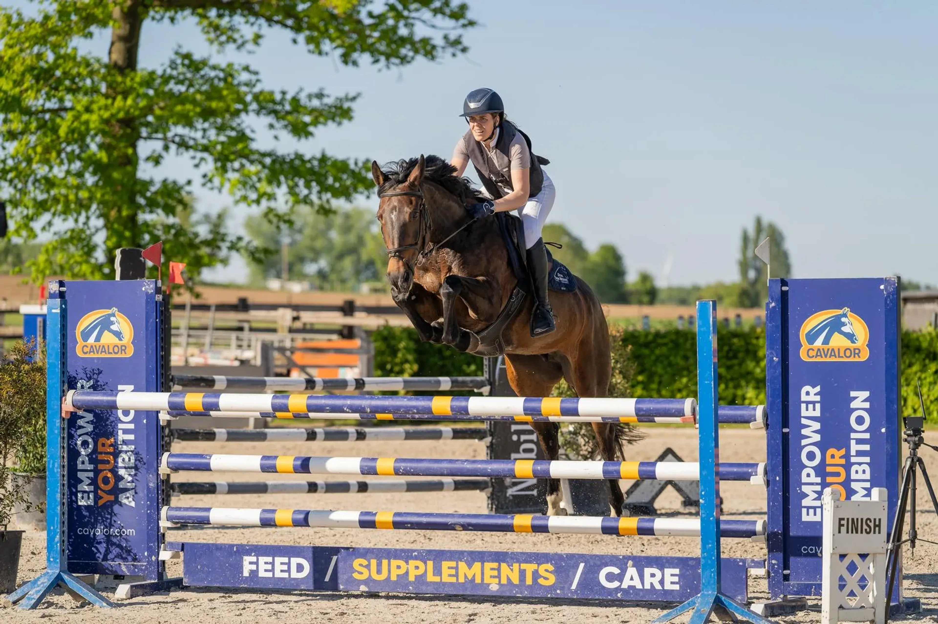 Trust me Van Den Heuvel - Image 2