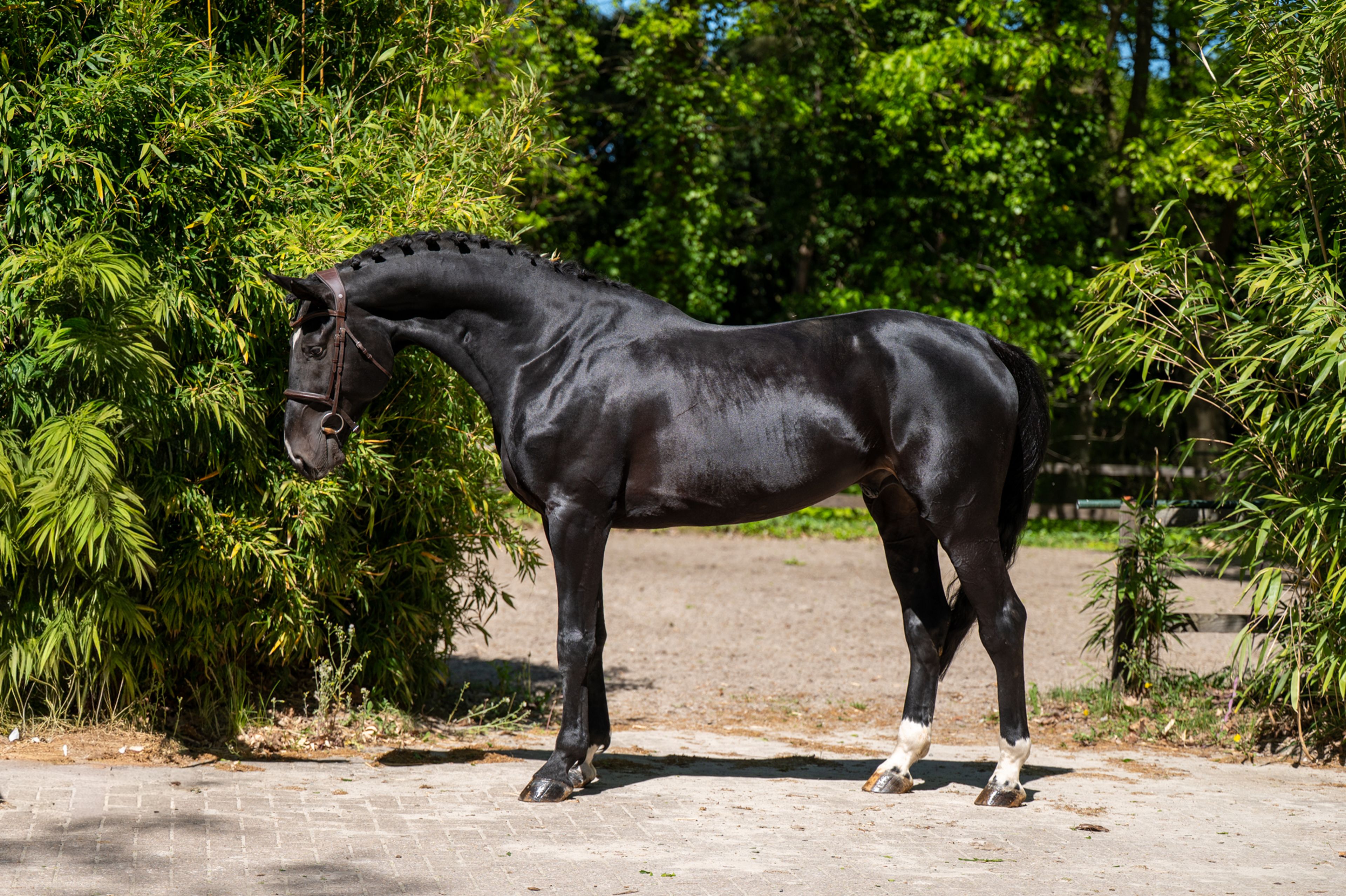Query (QUIDAM B x ERP )