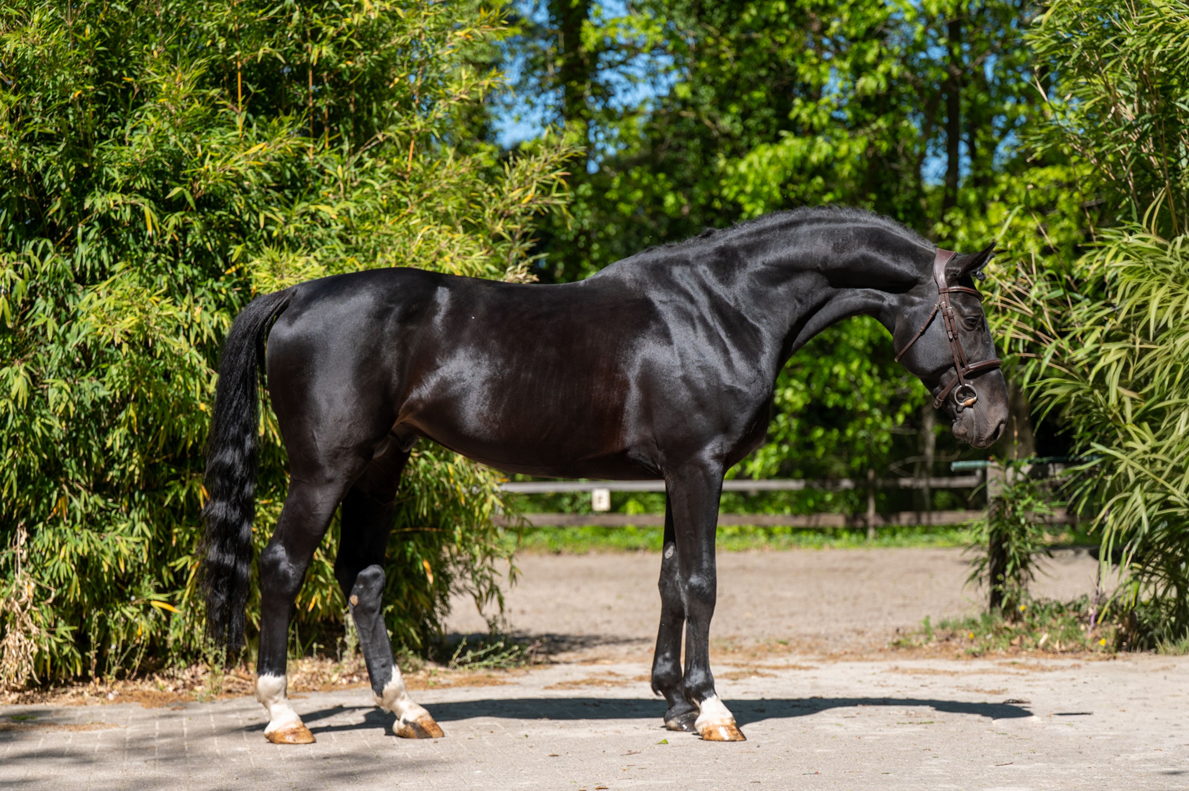 Query (QUIDAM B x ERP ) - Image 2