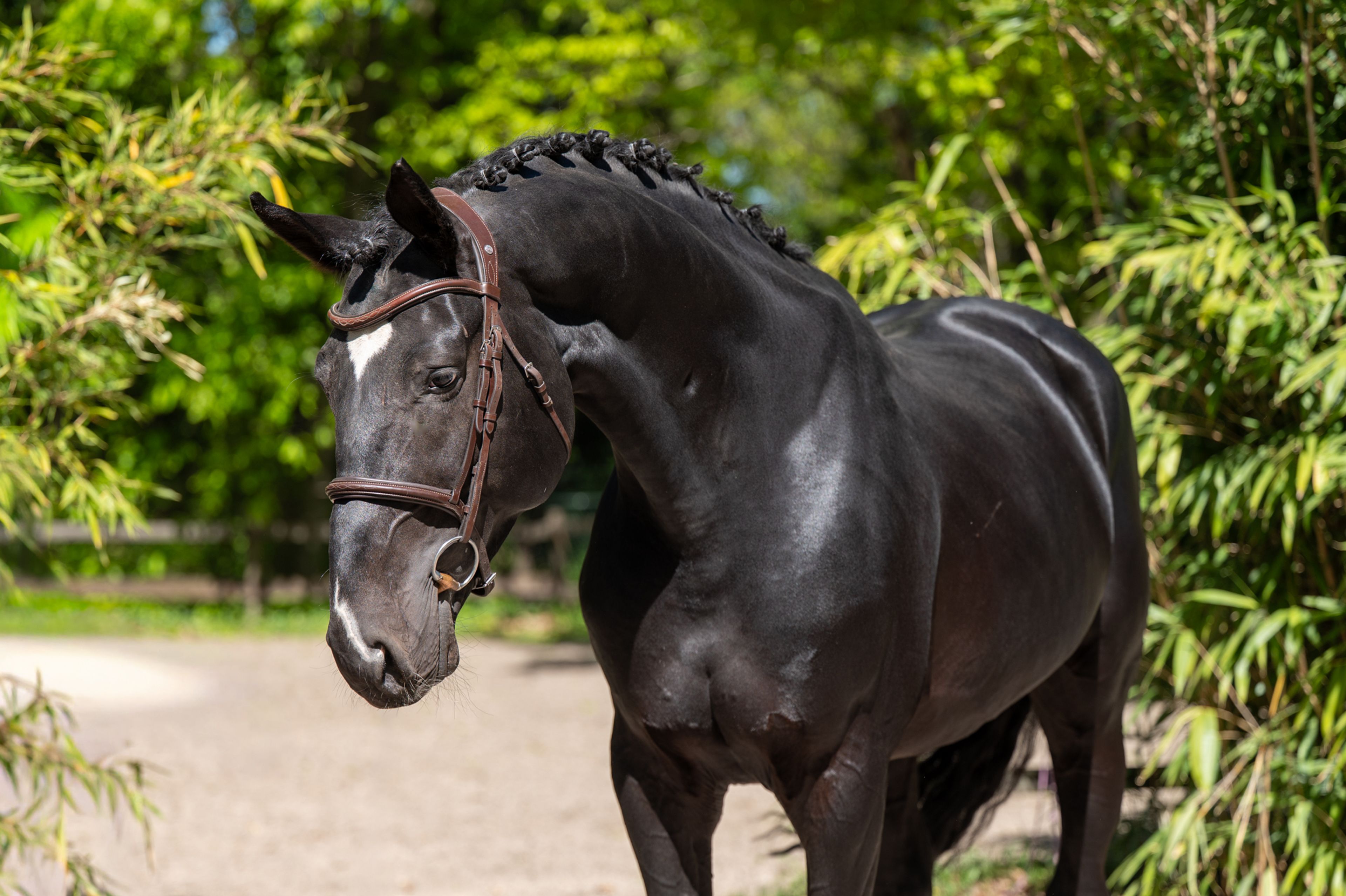 Query (QUIDAM B x ERP ) - Image 3