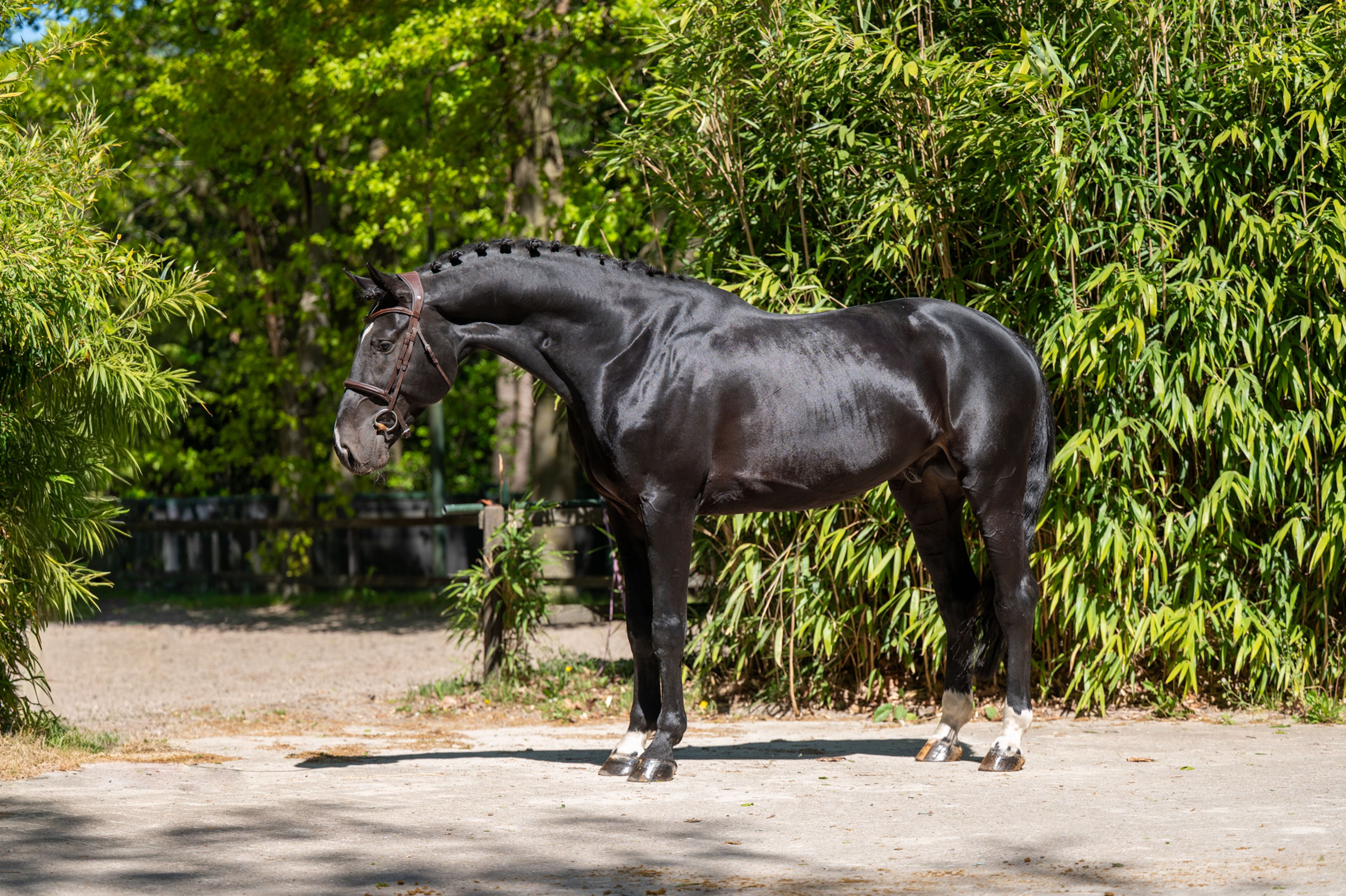 Query (QUIDAM B x ERP ) - Image 6