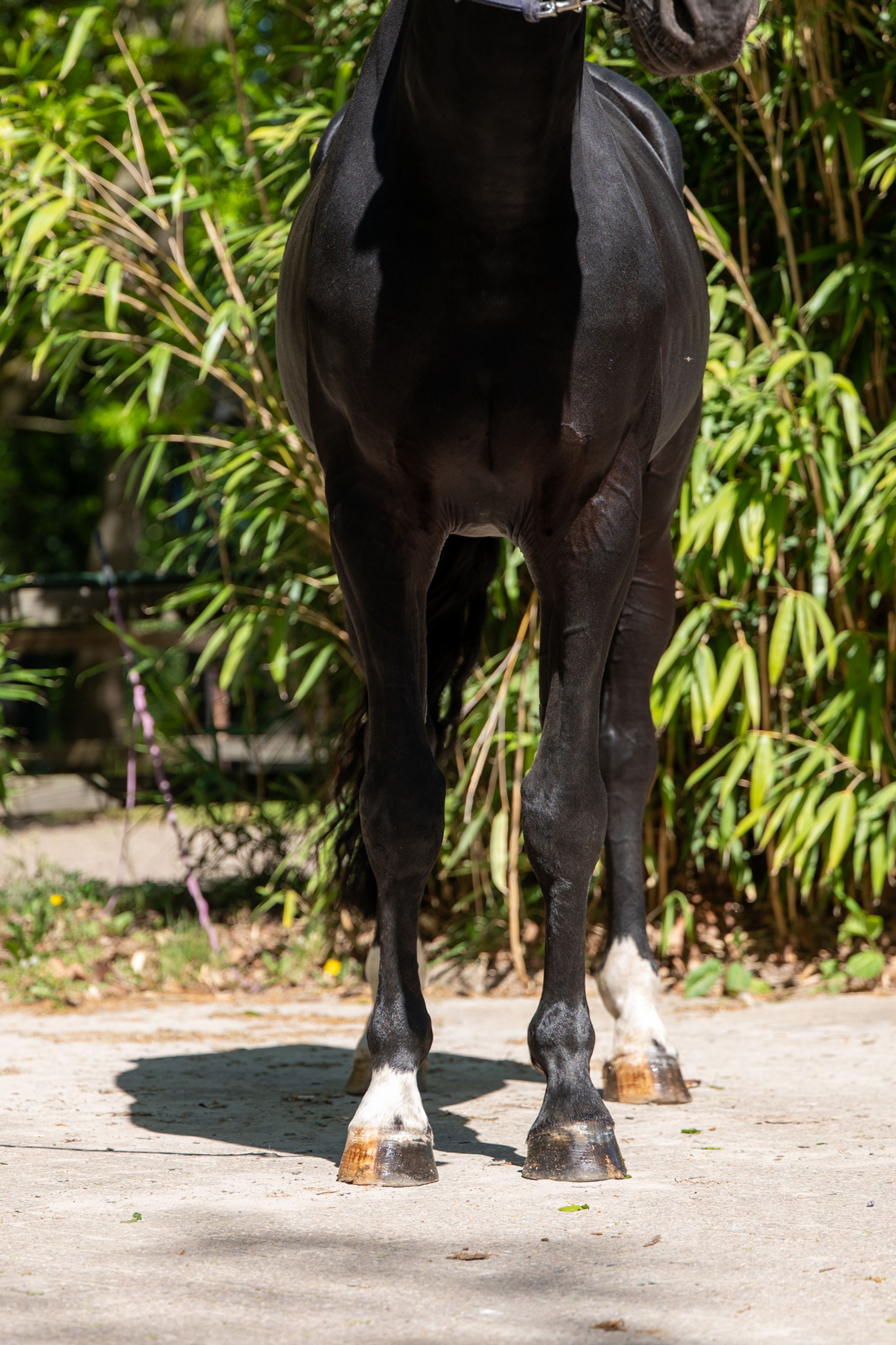 Query (QUIDAM B x ERP ) - Image 7