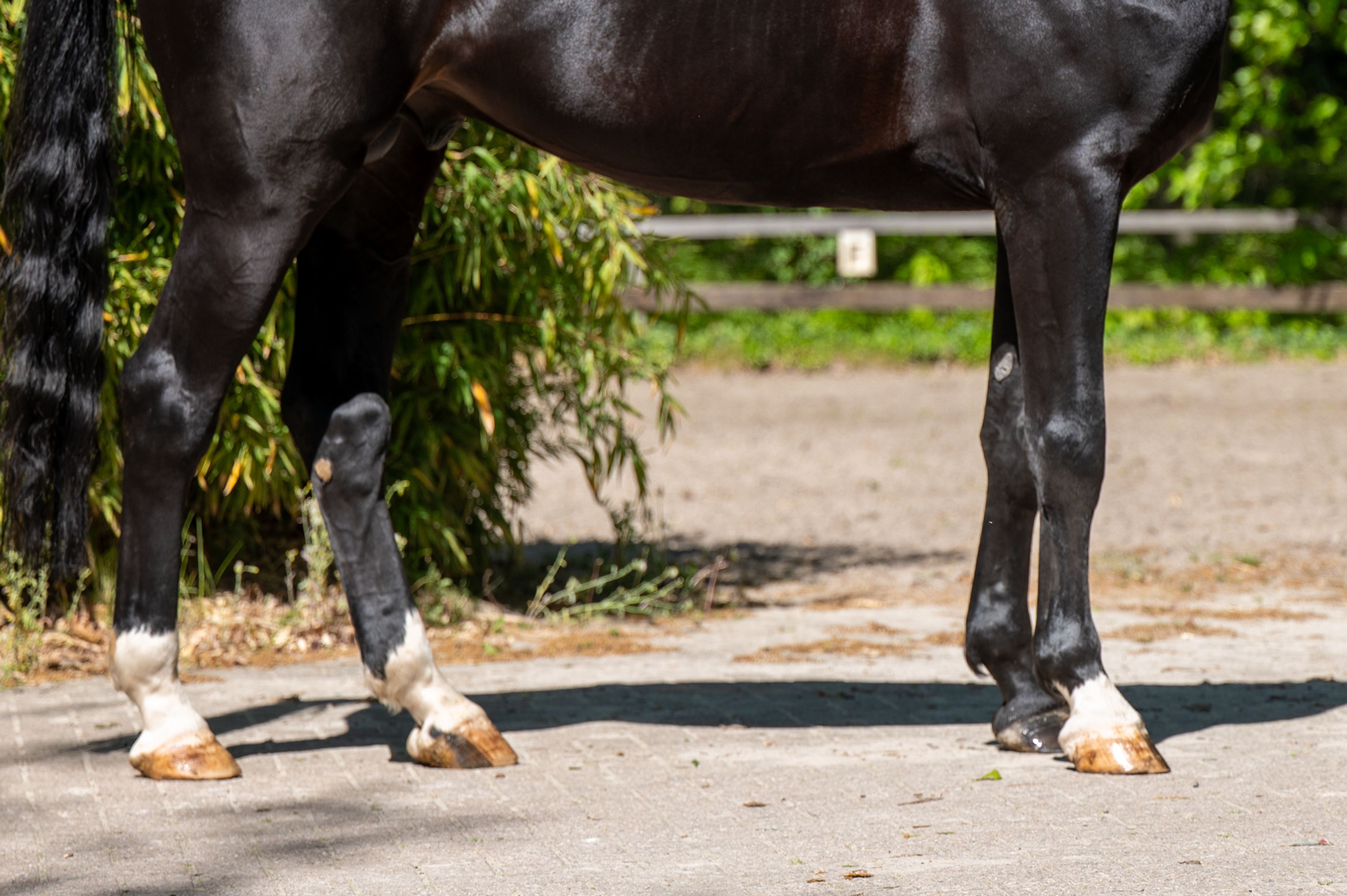Query (QUIDAM B x ERP ) - Image 8