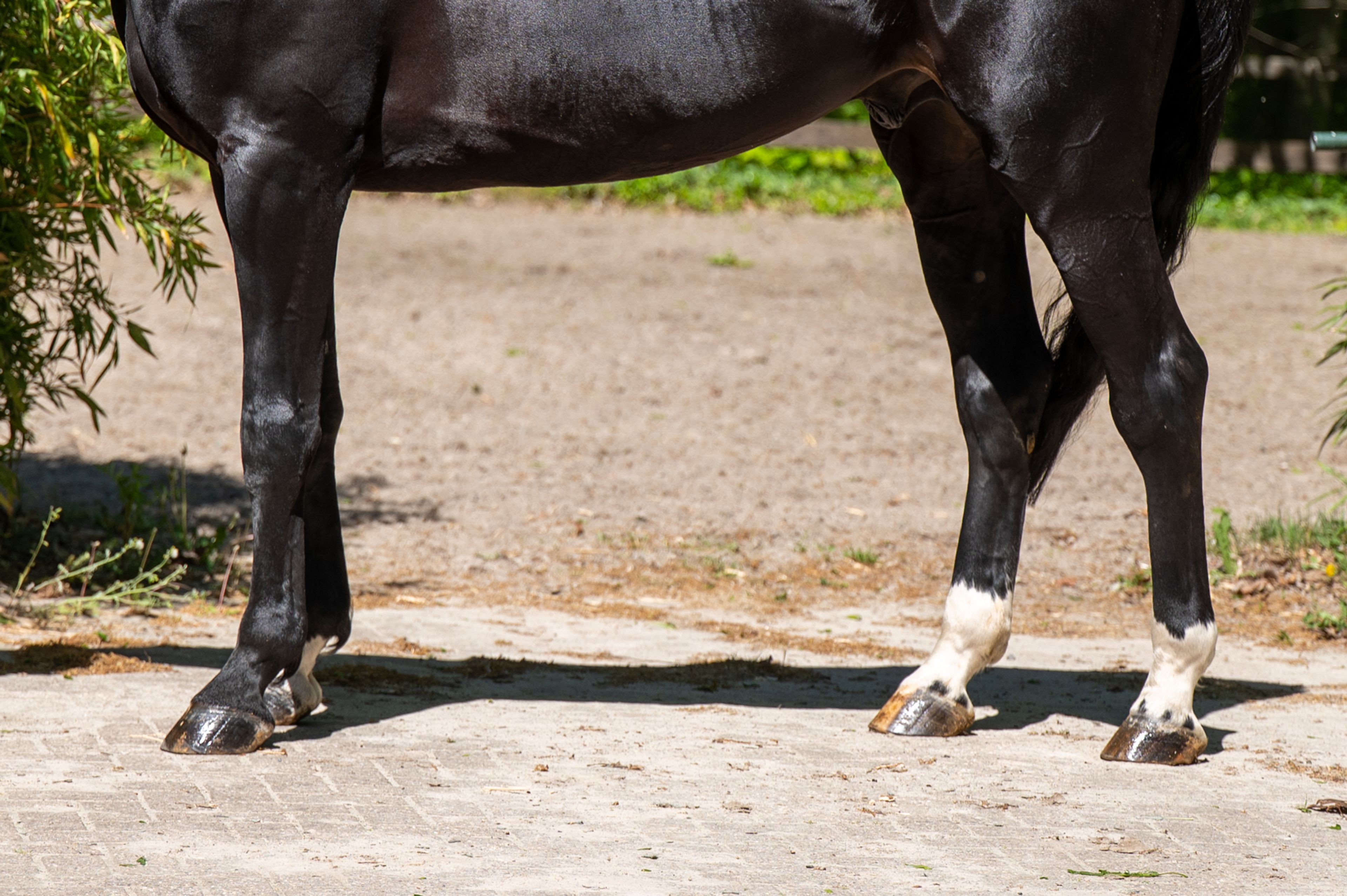 Query (QUIDAM B x ERP ) - Image 9
