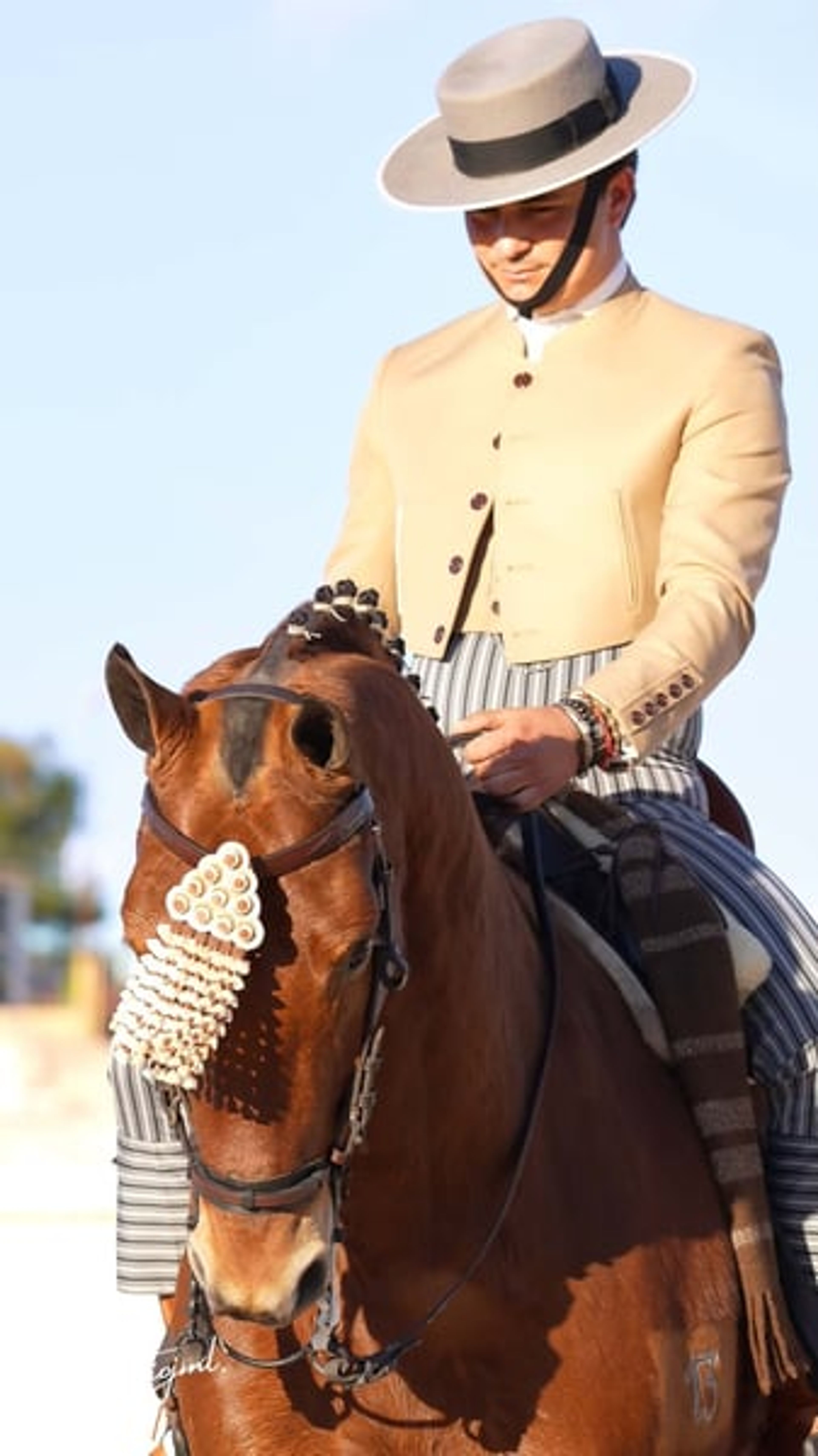 Sargento – Spanish Champion & Exceptional Schoolmaster for Working Equitation - Image 8