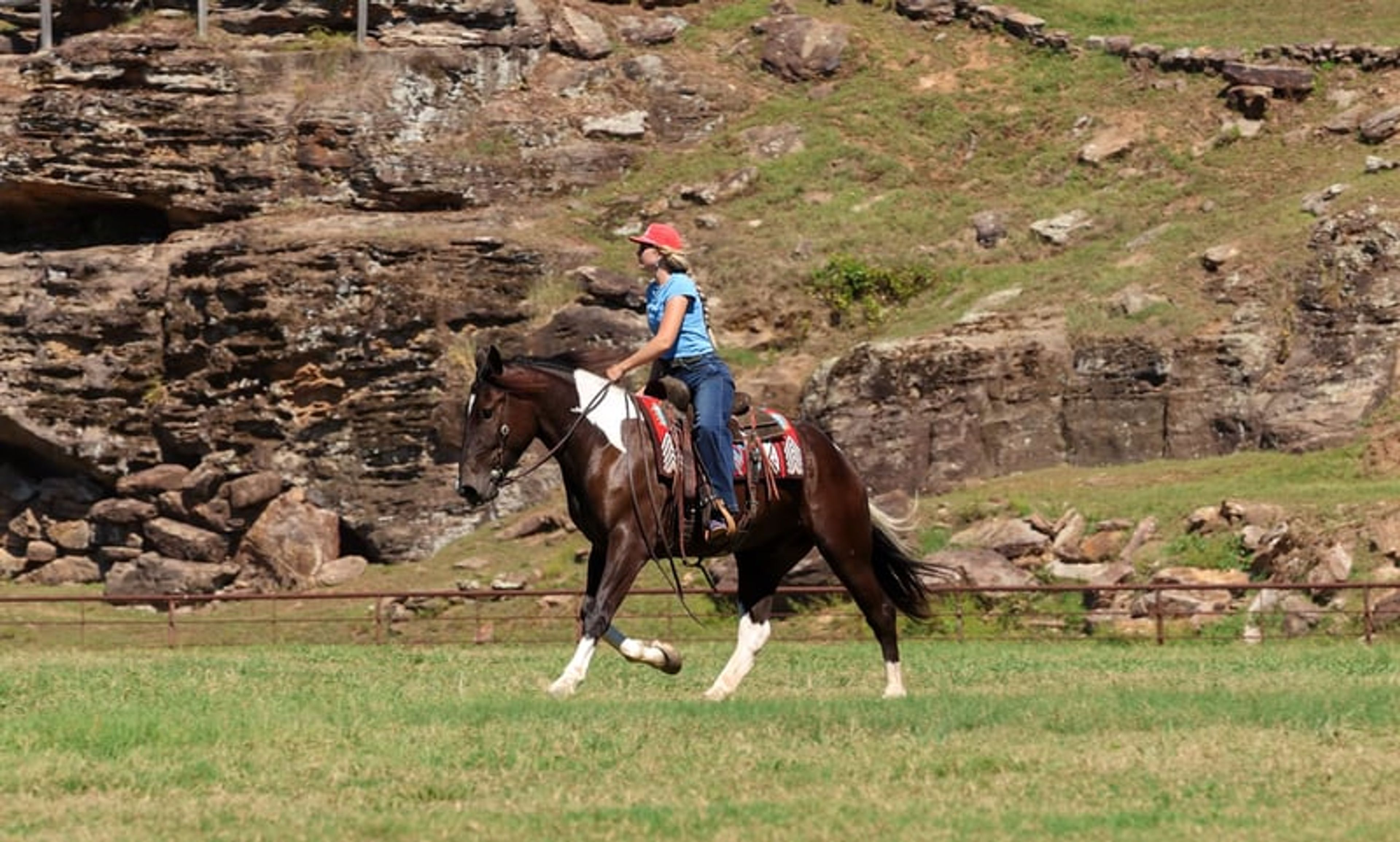 Tarzan 4 Yr old 16hh Paint Draft Cross Gelding - Image 9