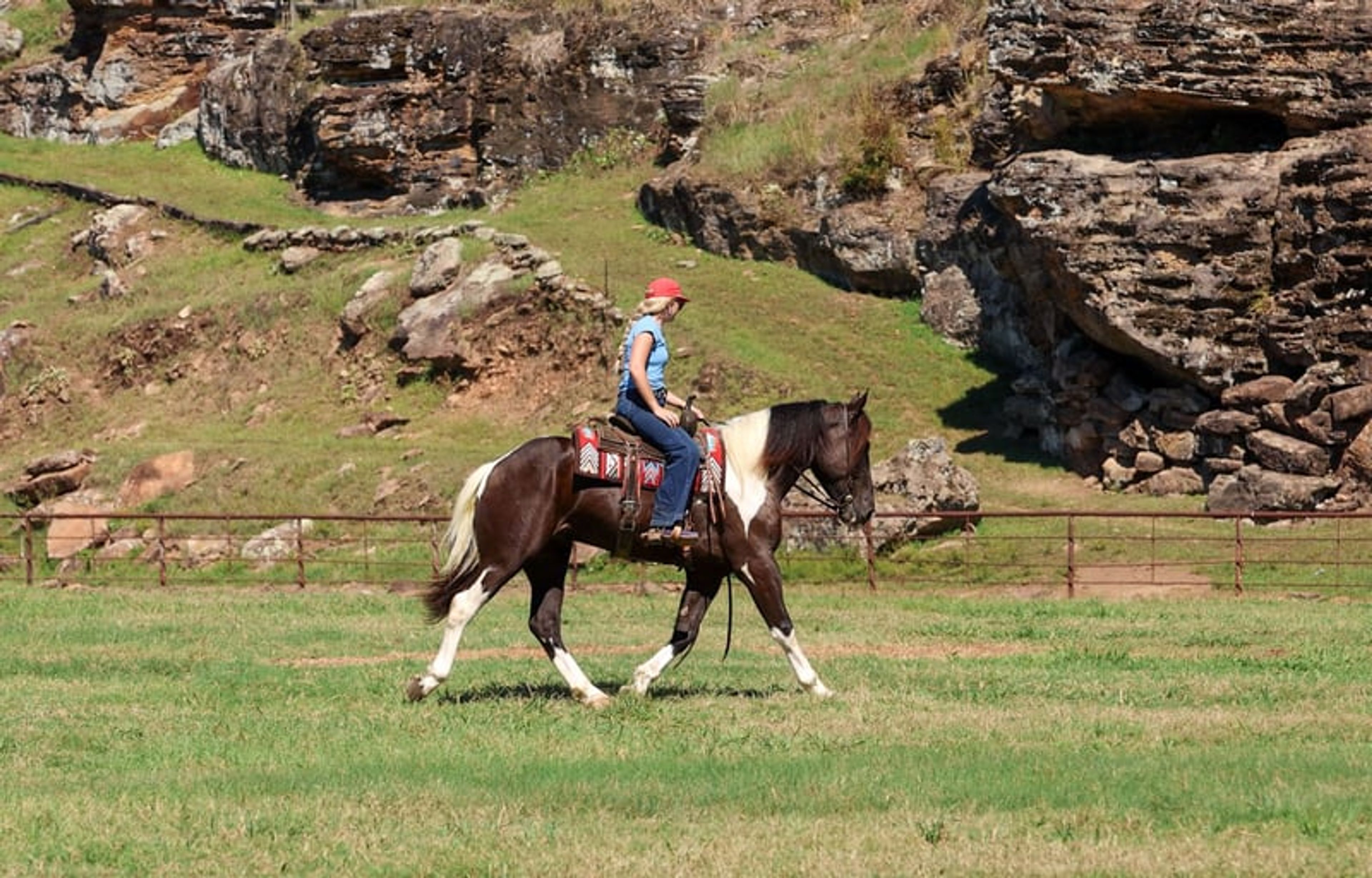 Tarzan 4 Yr old 16hh Paint Draft Cross Gelding - Image 10