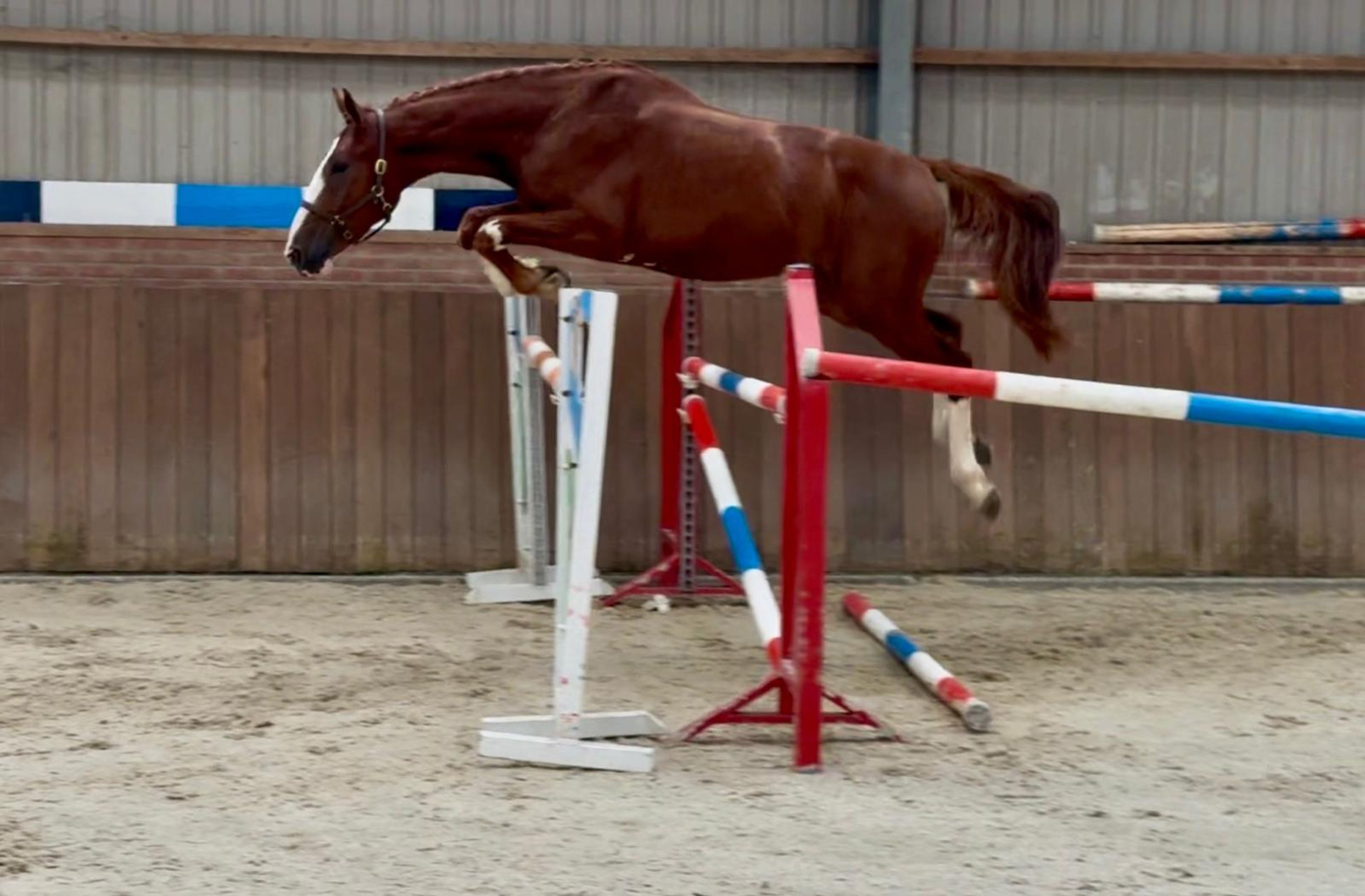 Tattoo HDP (SANTANO x QUIDAM DE REVEL) - Image 14