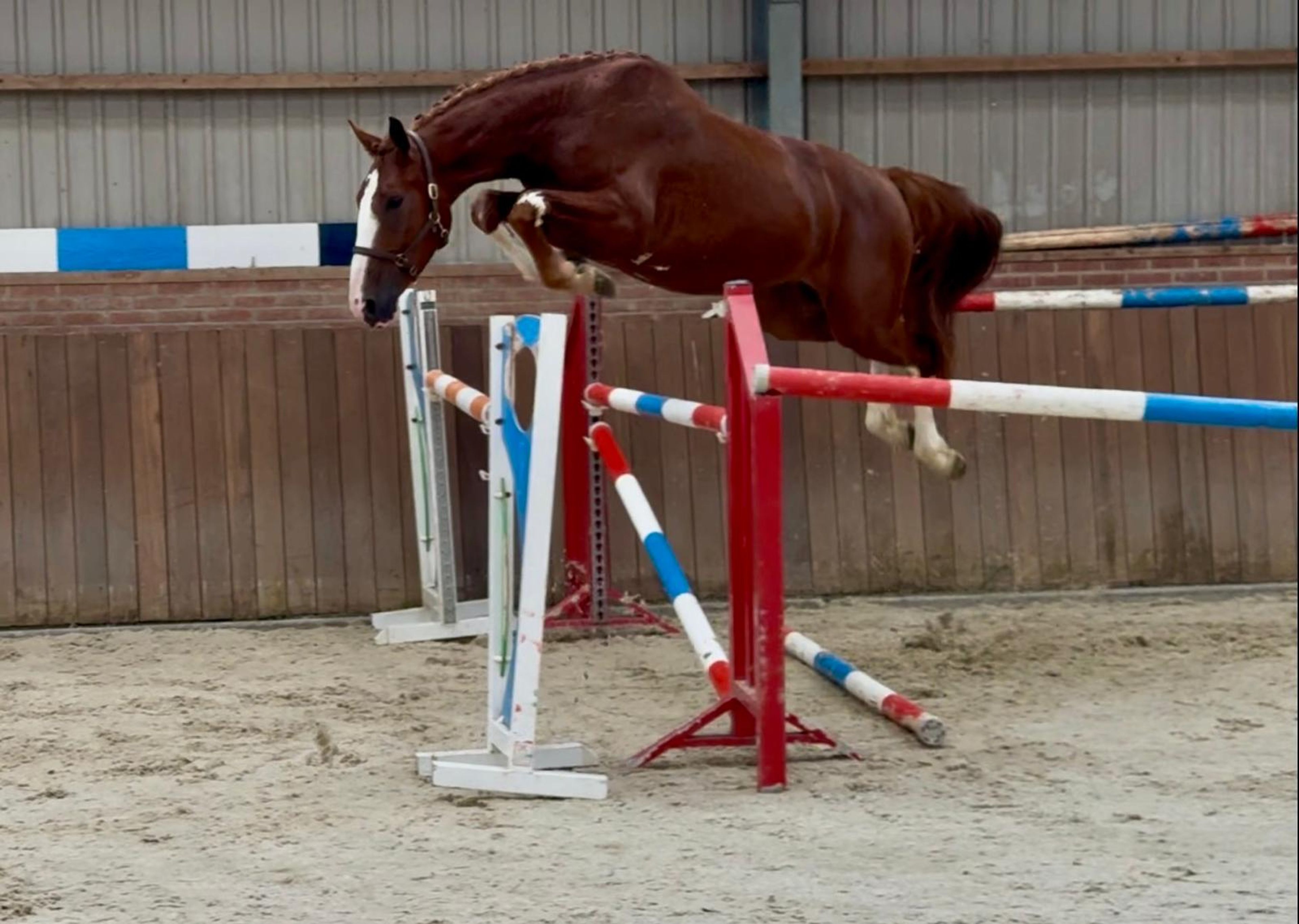 Tattoo HDP (SANTANO x QUIDAM DE REVEL) - Image 15