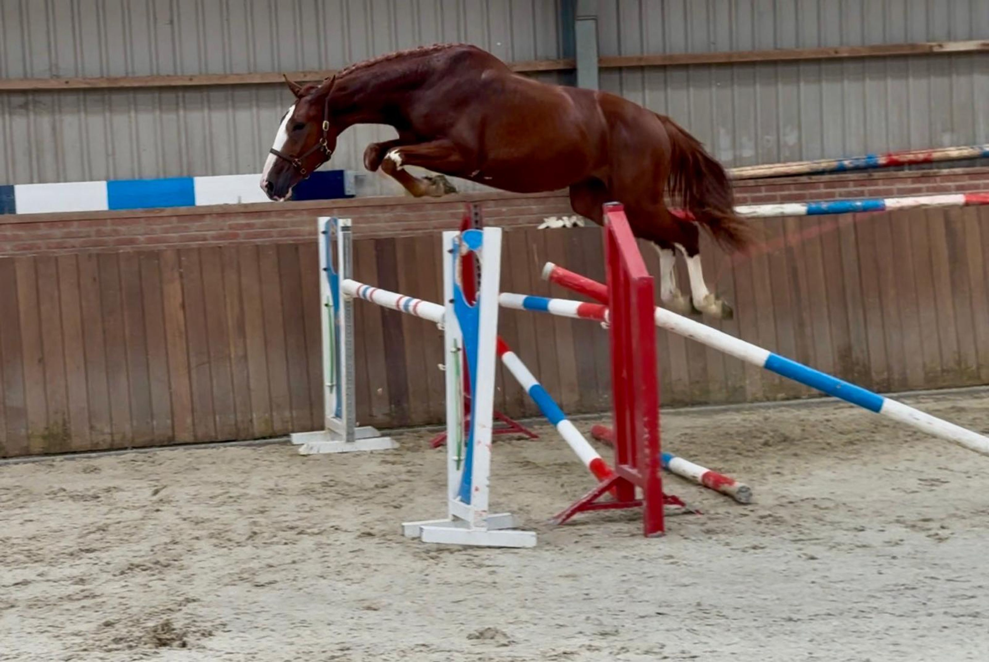 Tattoo HDP (SANTANO x QUIDAM DE REVEL) - Image 16