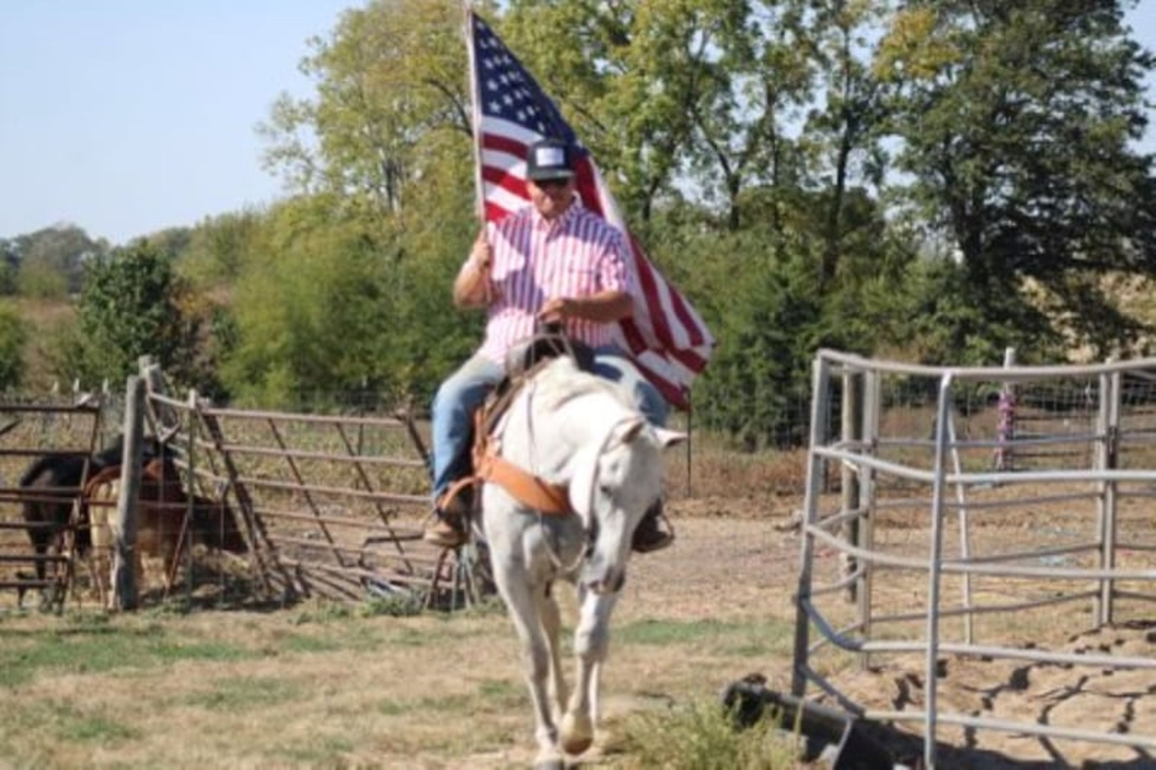 Bill: A well-traveled ranch gelding with real-world experience - Image 6
