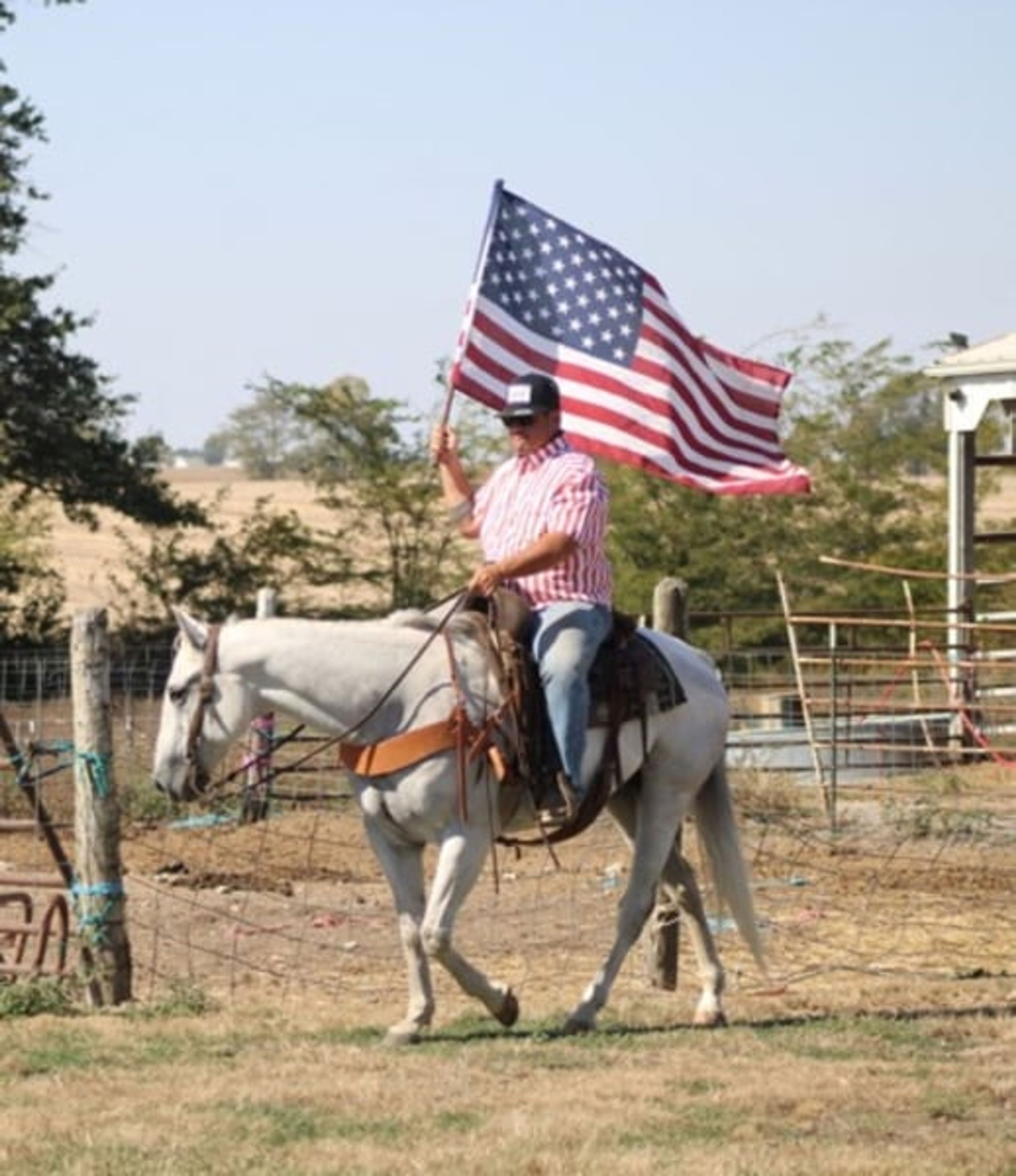 Bill: A well-traveled ranch gelding with real-world experience - Image 7