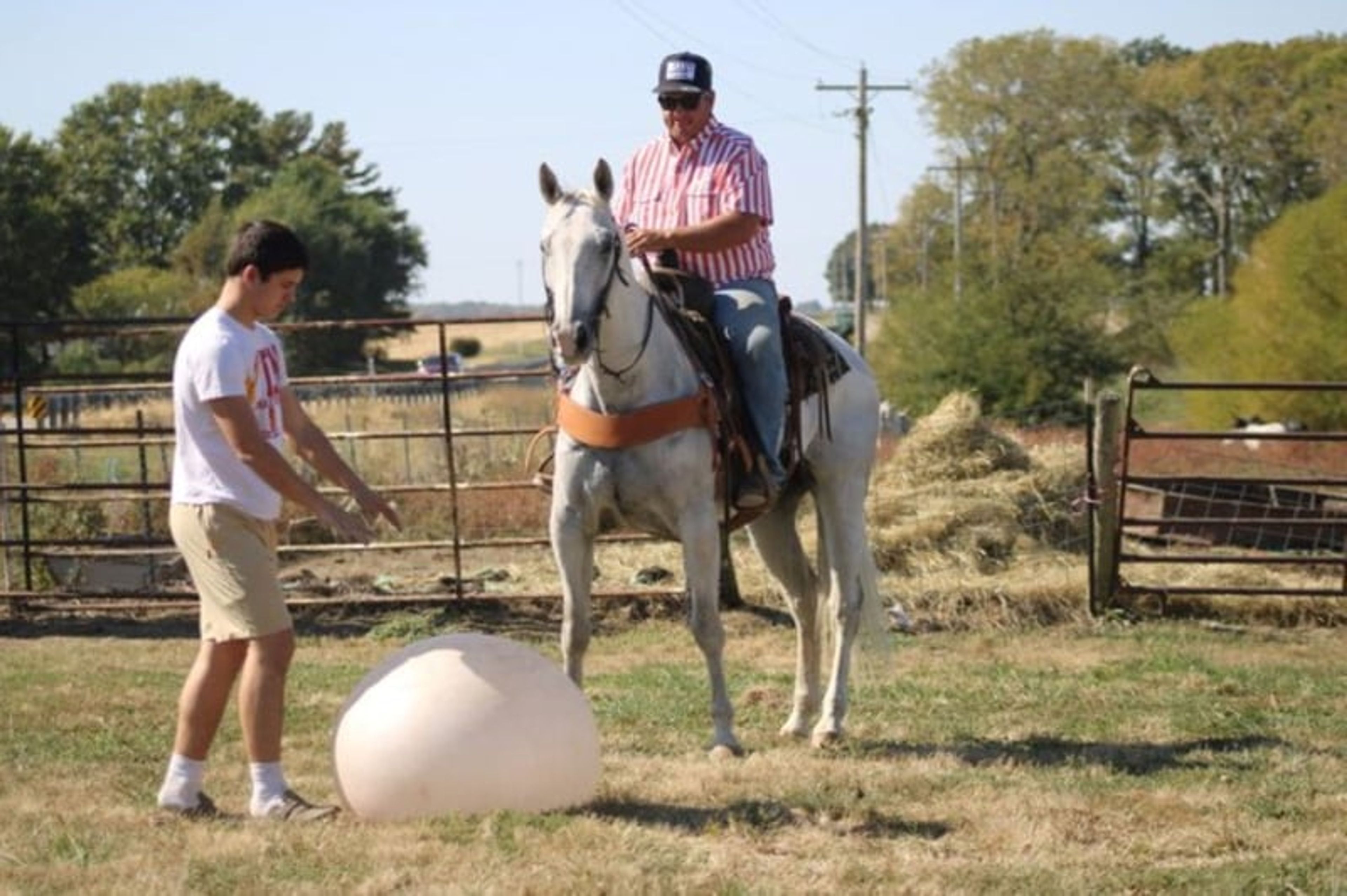 Bill: A well-traveled ranch gelding with real-world experience - Image 8