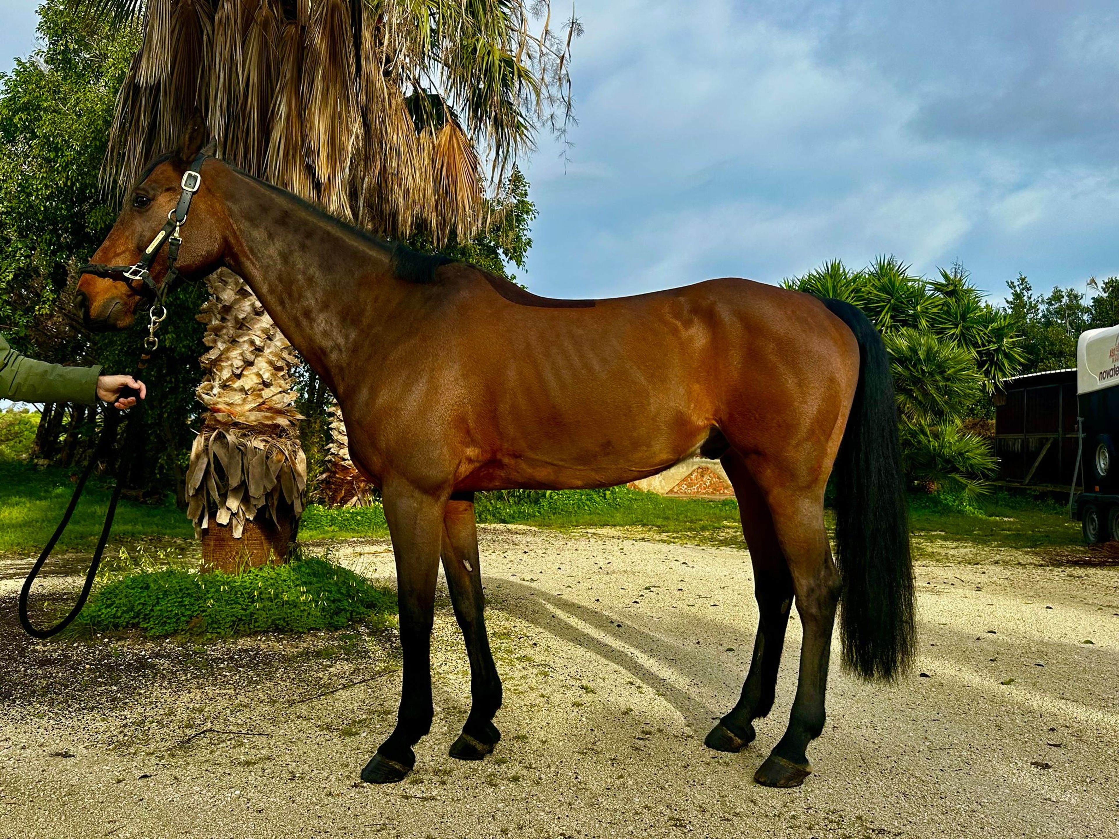 Quality Jump (QUALITY TIME TN x DIARADO) - Image 1