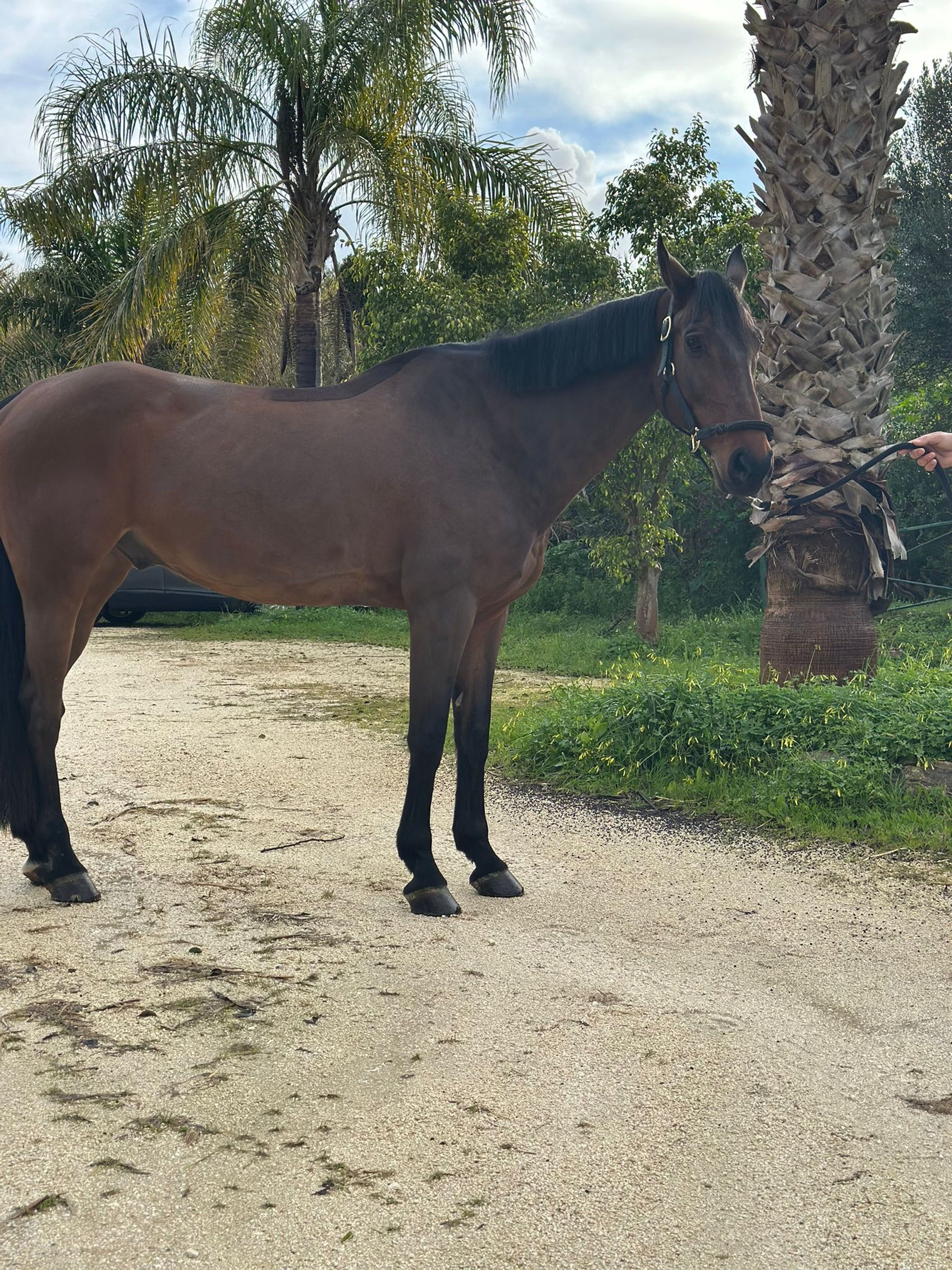 Quality Jump (QUALITY TIME TN x DIARADO) - Image 5