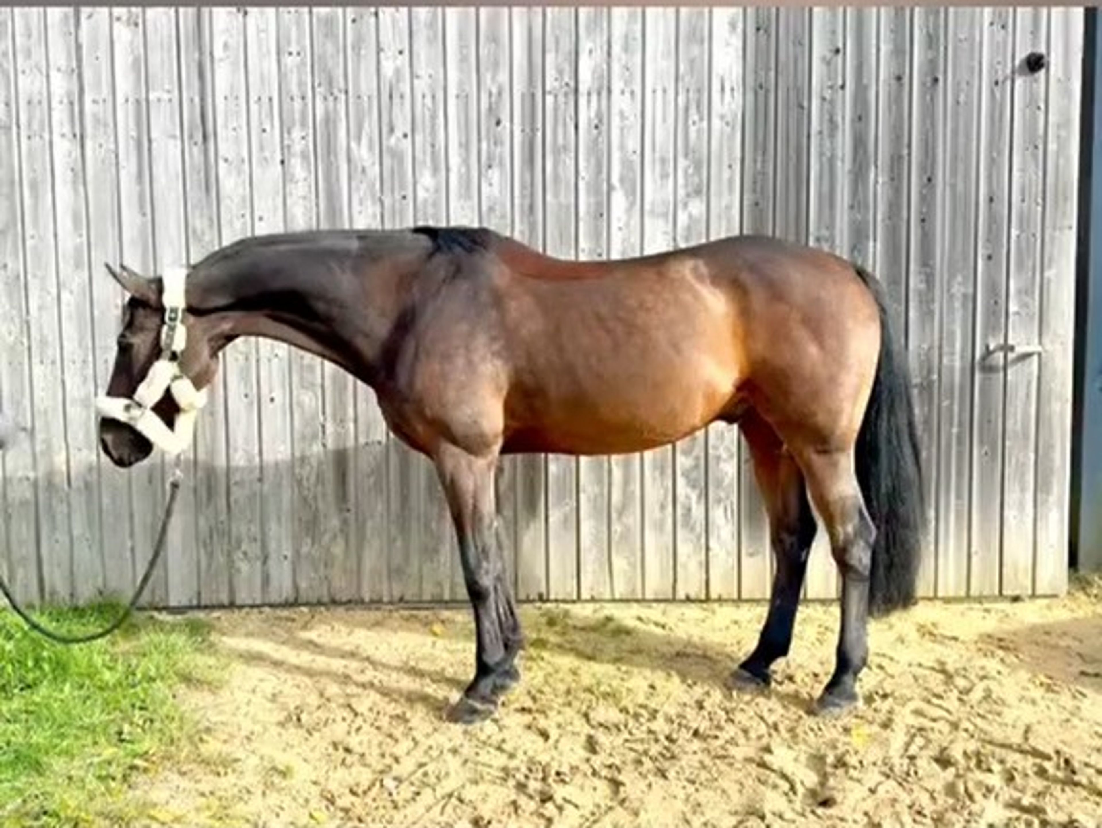 Quality Jump (QUALITY TIME TN x DIARADO) - Image 7