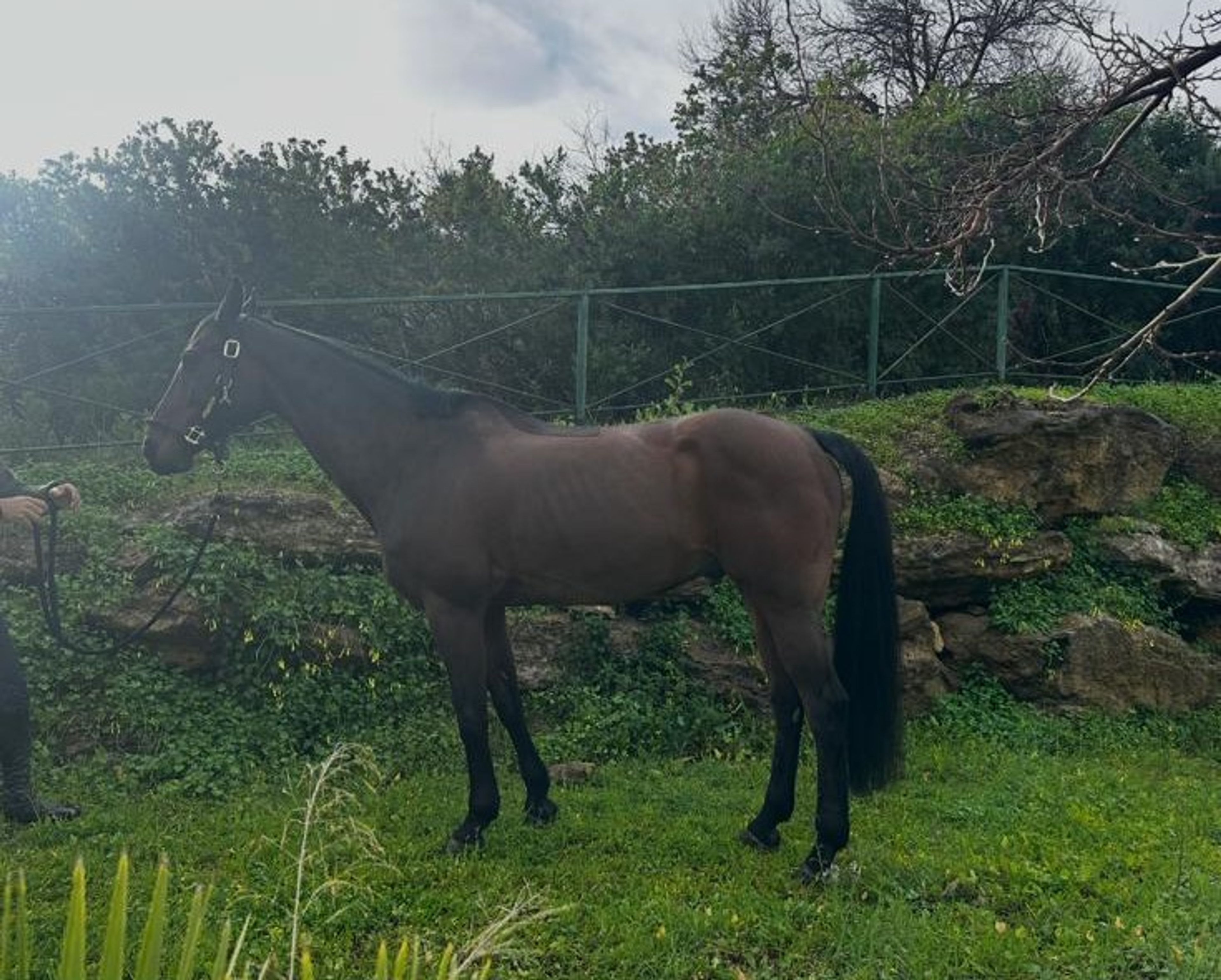 Quality Jump (QUALITY TIME TN x DIARADO) - Image 8