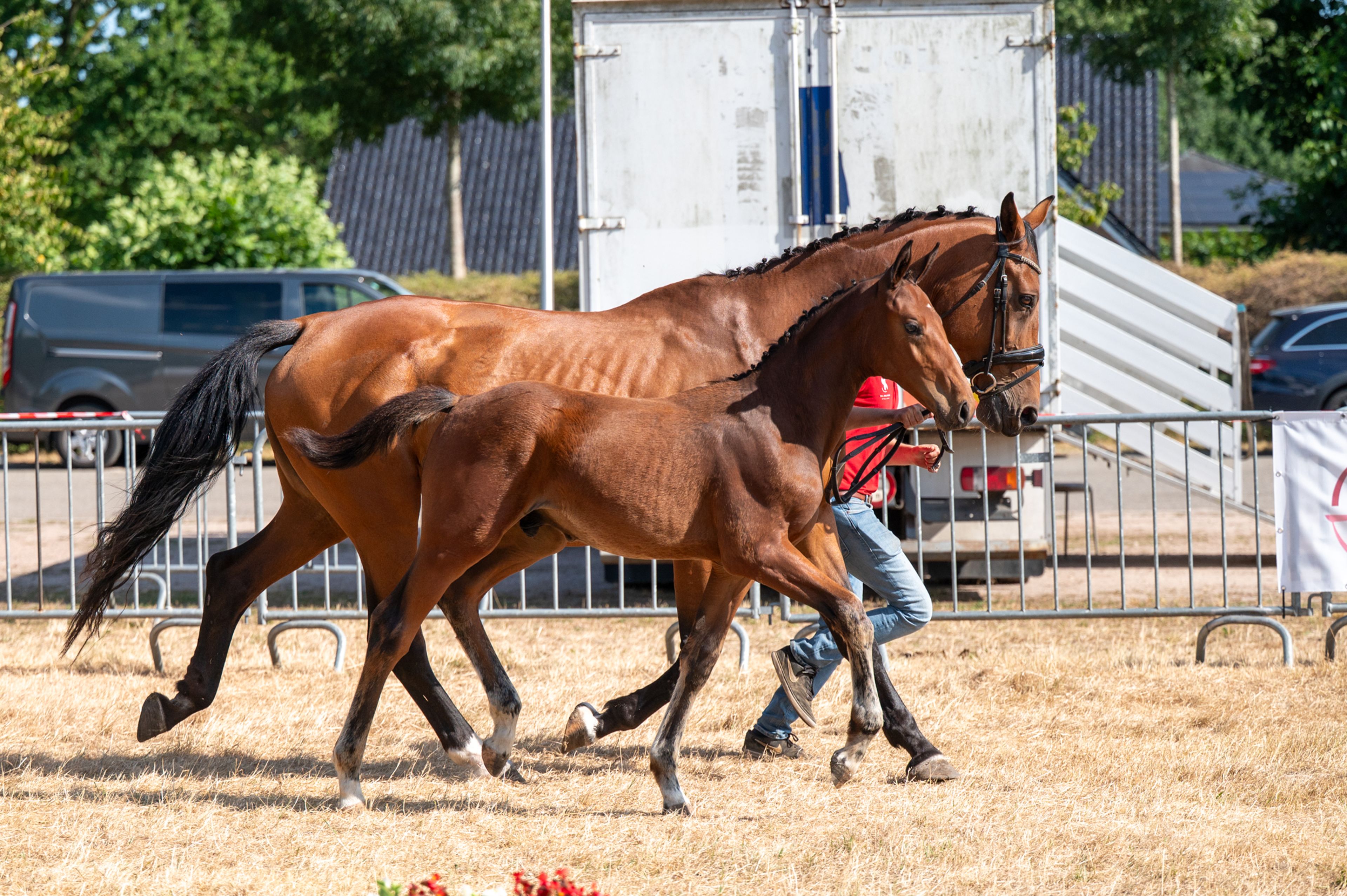 Dom Pérignon van't Vispluk (U2 T&M x CONTACT VD HEFFINCK) - Image 11