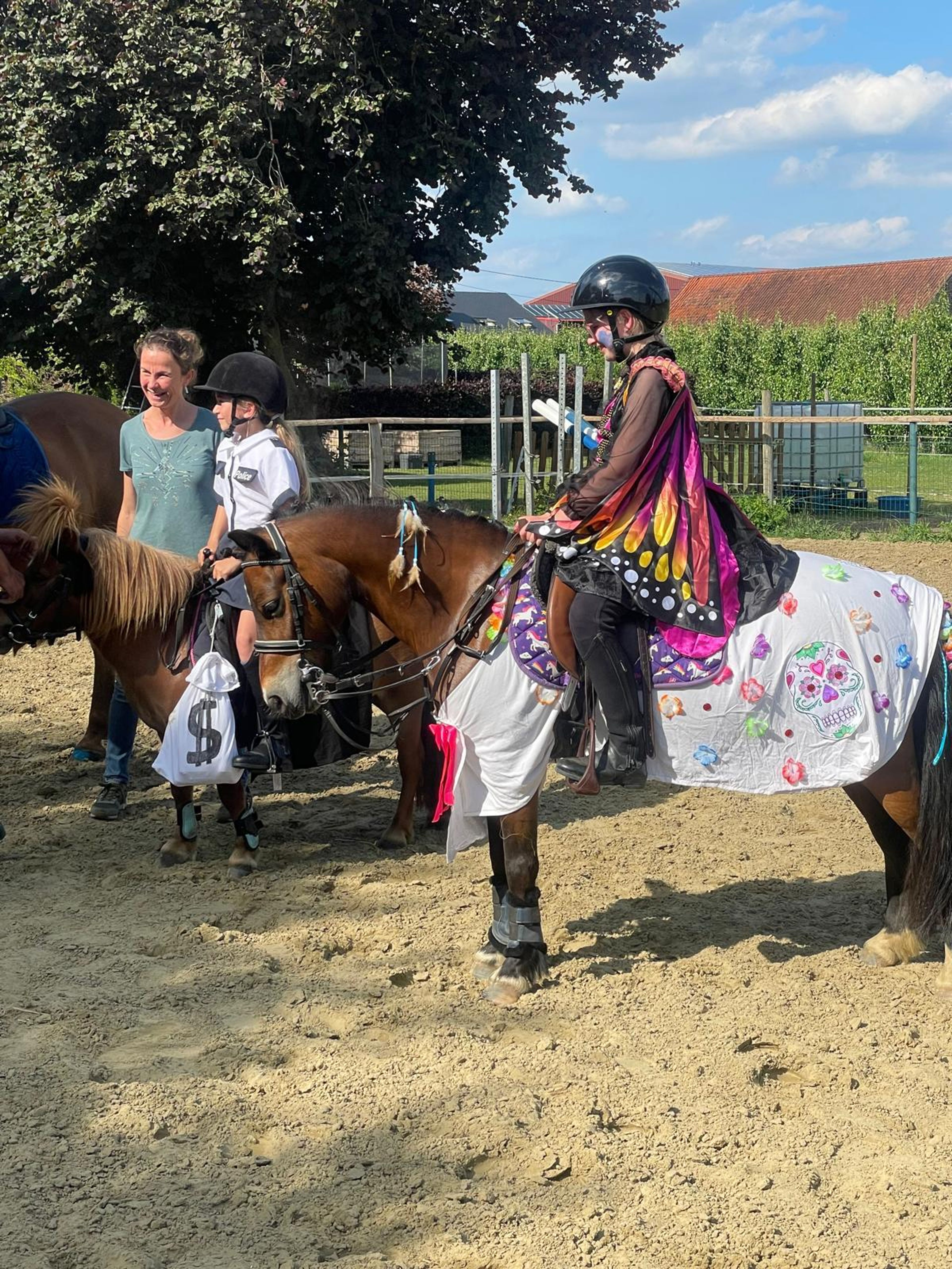 Iesehof Dulce (BREENAKKERS JULIUS x RIAN'S THUNDER) - Image 1