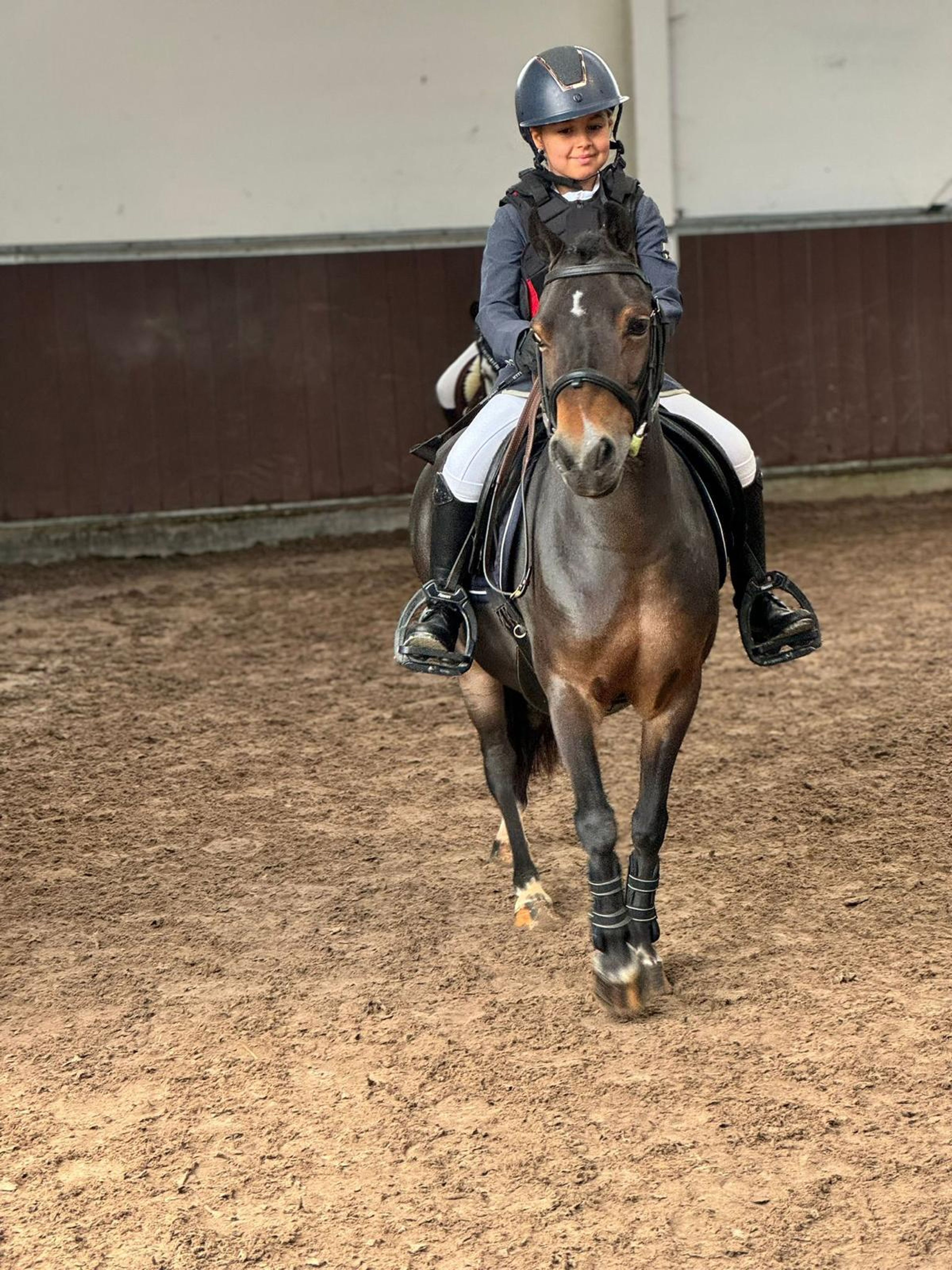 Iesehof Dulce (BREENAKKERS JULIUS x RIAN'S THUNDER) - Image 5