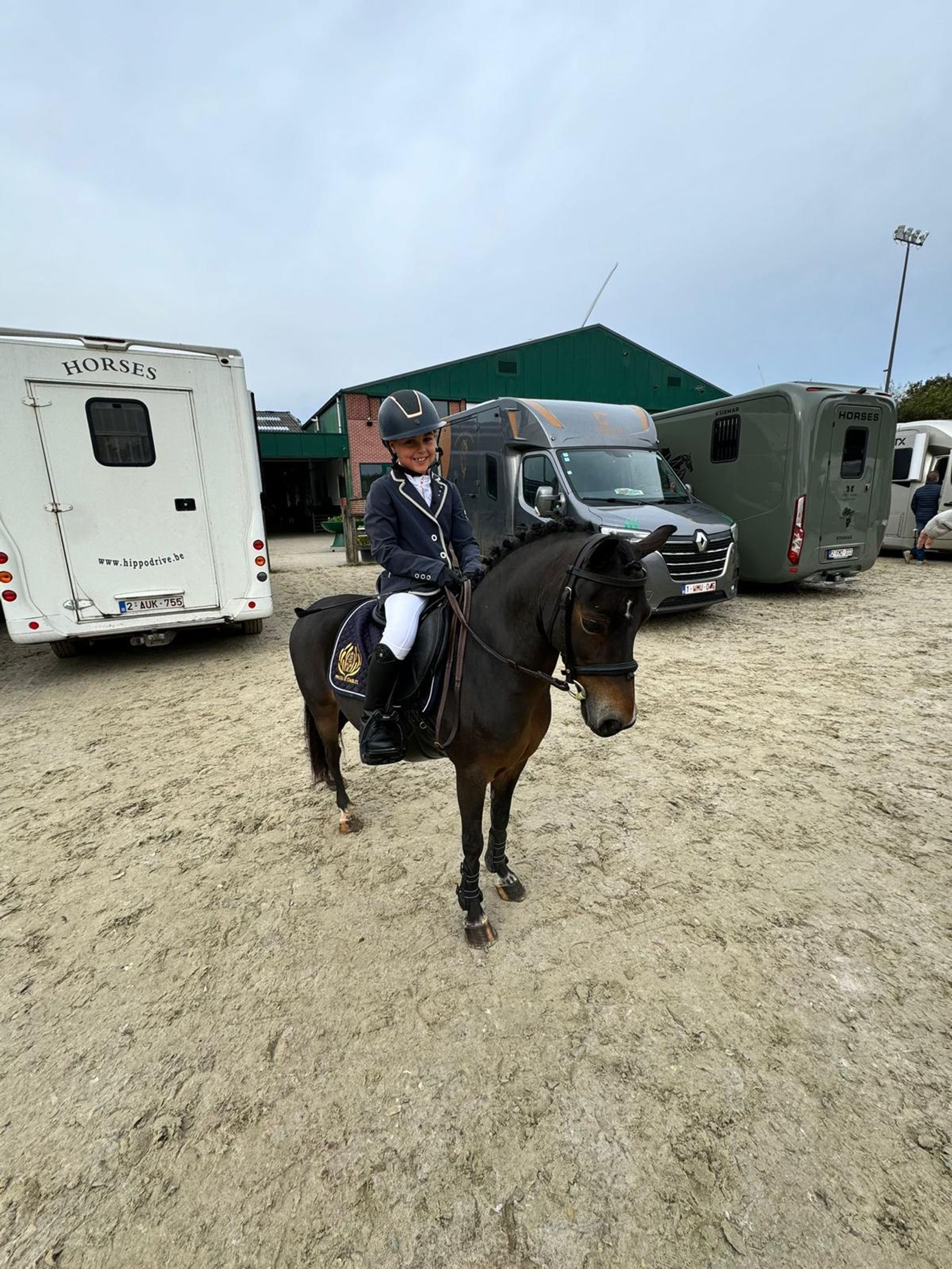 Iesehof Dulce (BREENAKKERS JULIUS x RIAN'S THUNDER) - Image 6