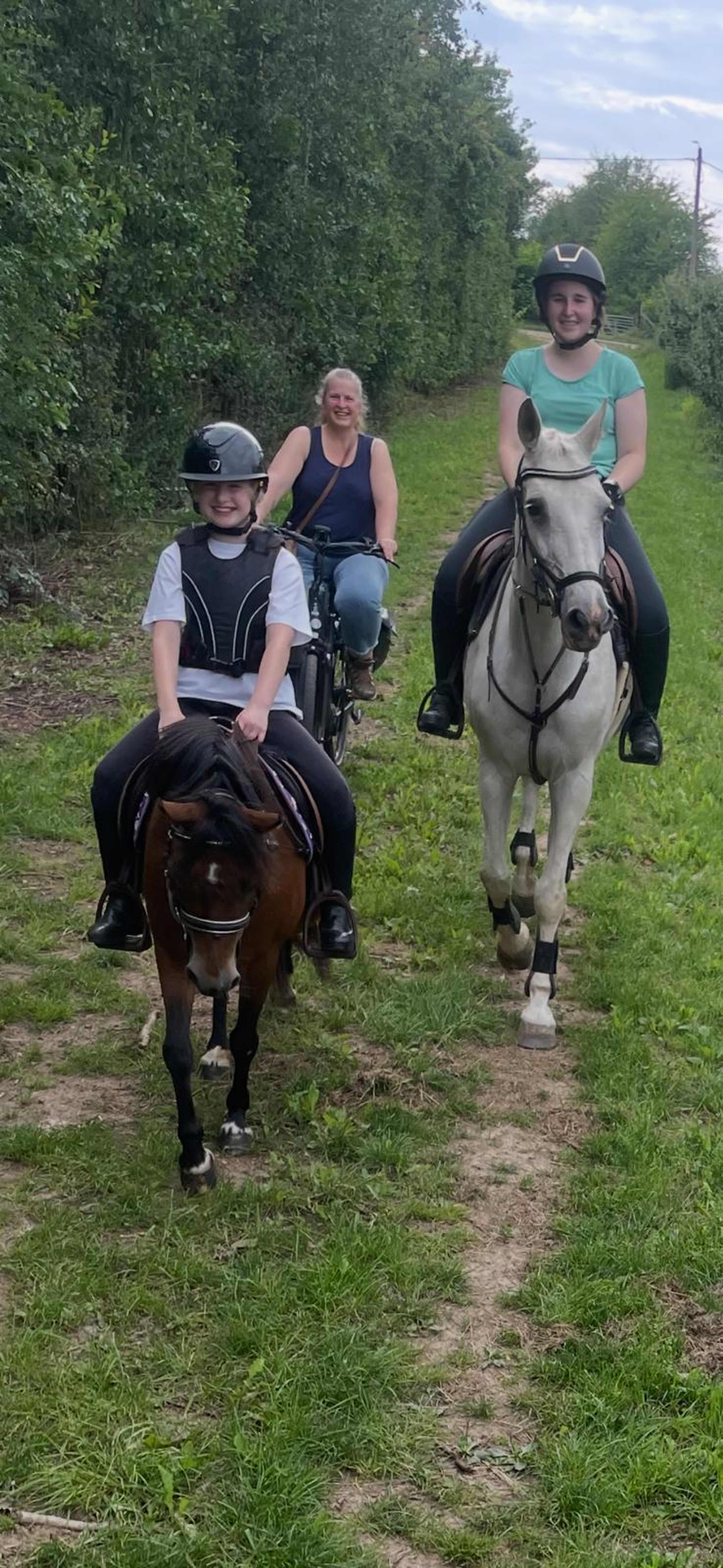 Iesehof Dulce (BREENAKKERS JULIUS x RIAN'S THUNDER) - Image 9