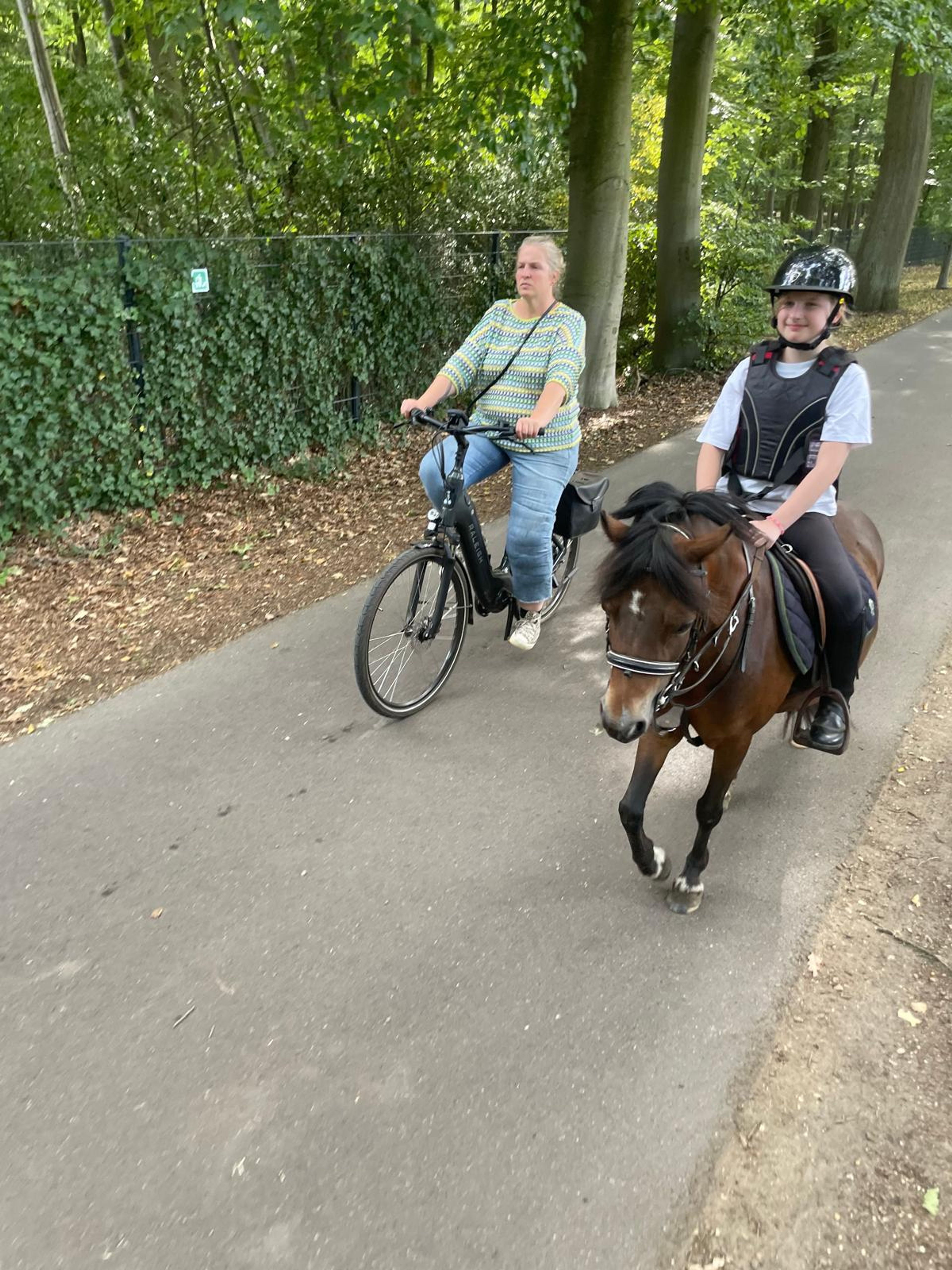 Iesehof Dulce (BREENAKKERS JULIUS x RIAN'S THUNDER) - Image 10